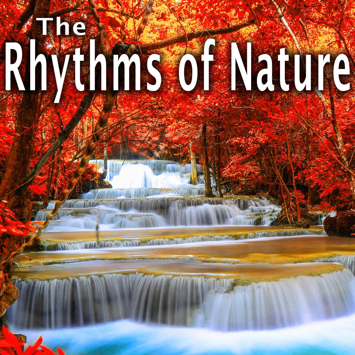 The Rhythms of Nature