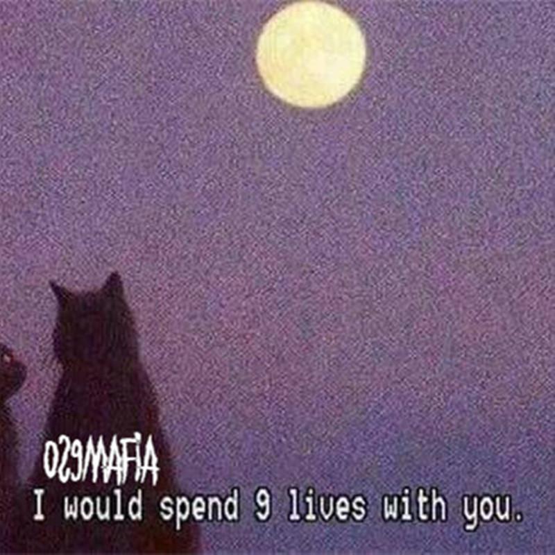 9lives with u