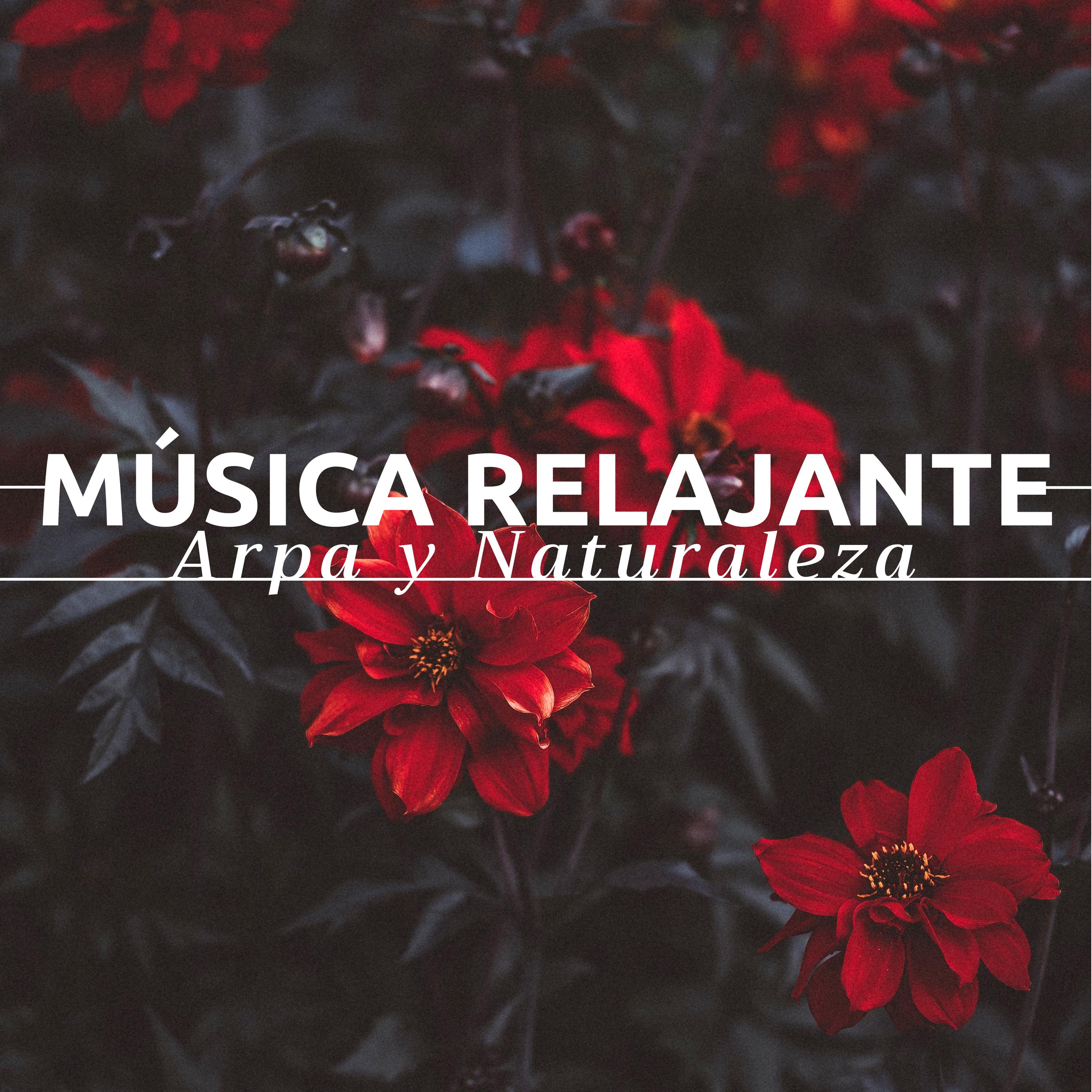 Música Relajante Arpa y Naturaleza