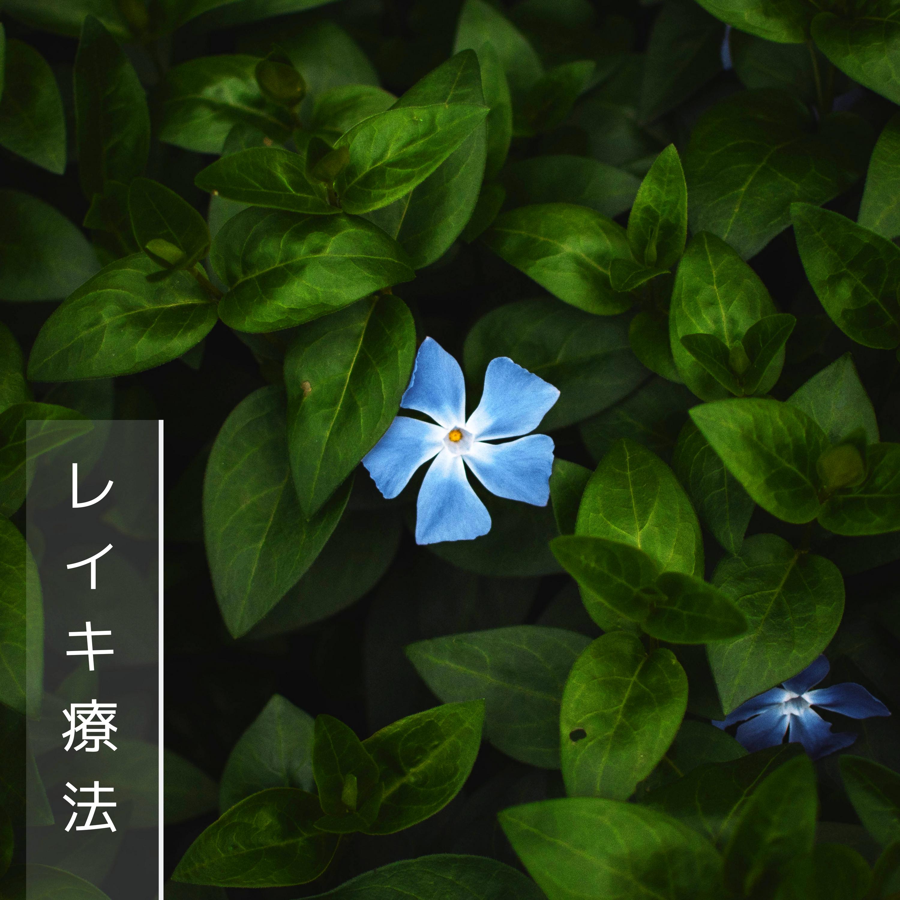 癒しの森