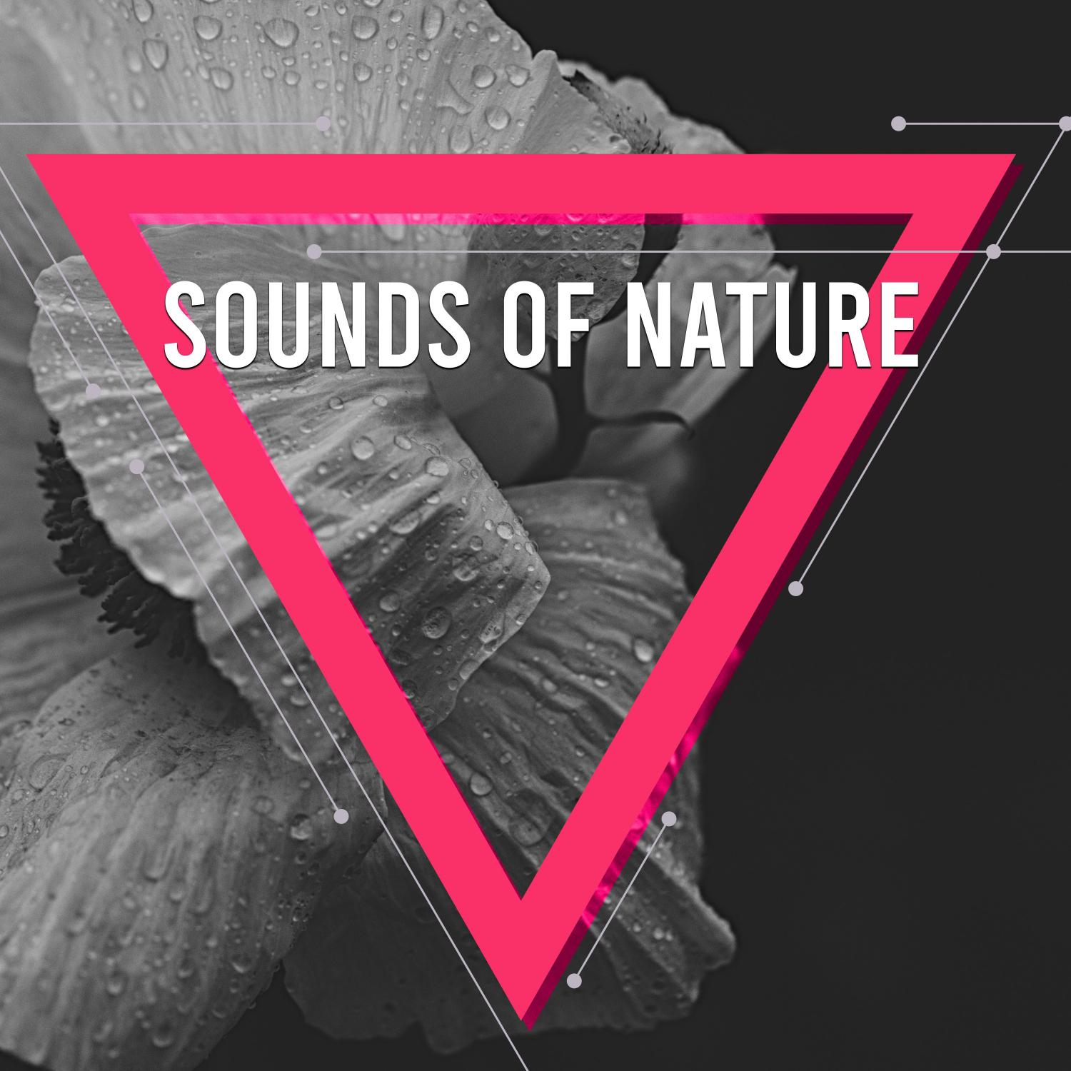 18 Sounds of Nature for Sleeping, Spa and Meditation