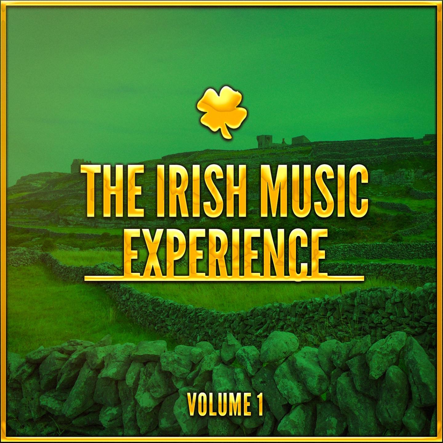 The Irish Music Experience, Vol. 1 (A Selection of Traditional Music from Ireland)