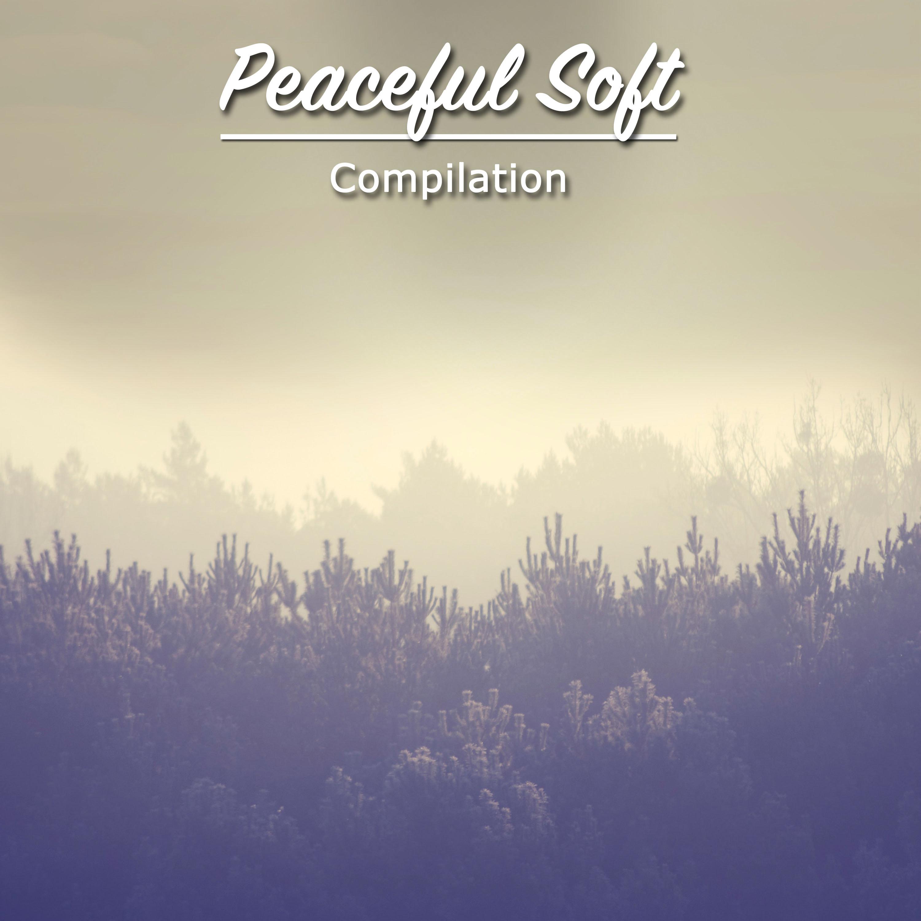 #15 Peaceful Soft Compilation for Meditation