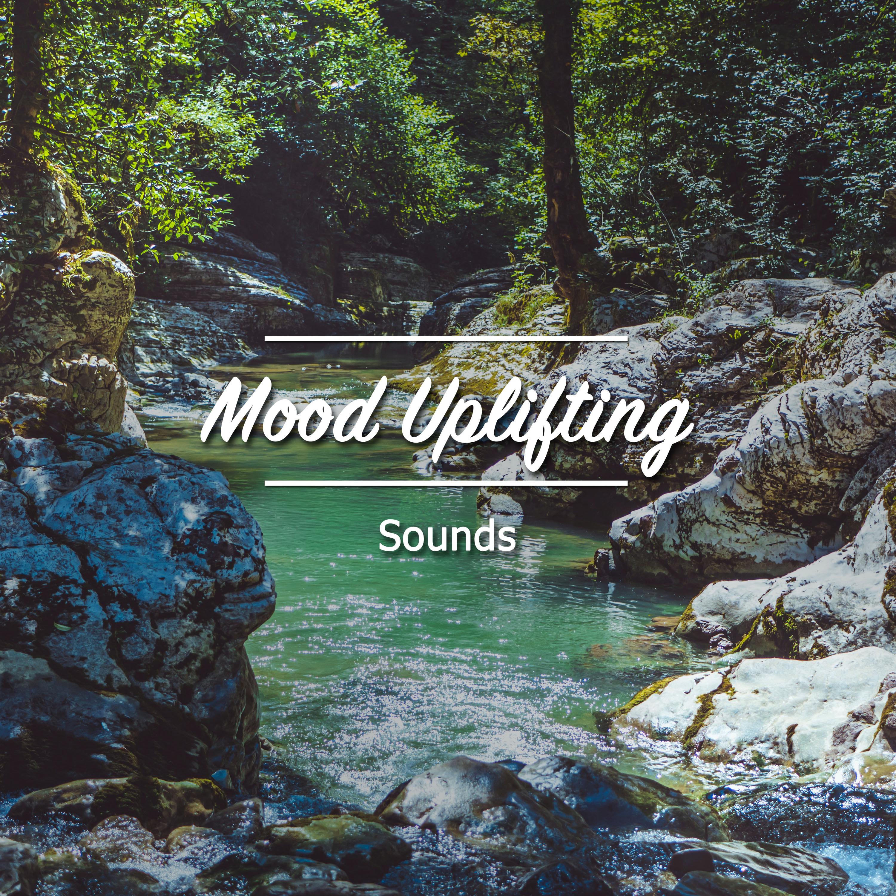 #20 Mood Uplifting Sounds for Relaxation