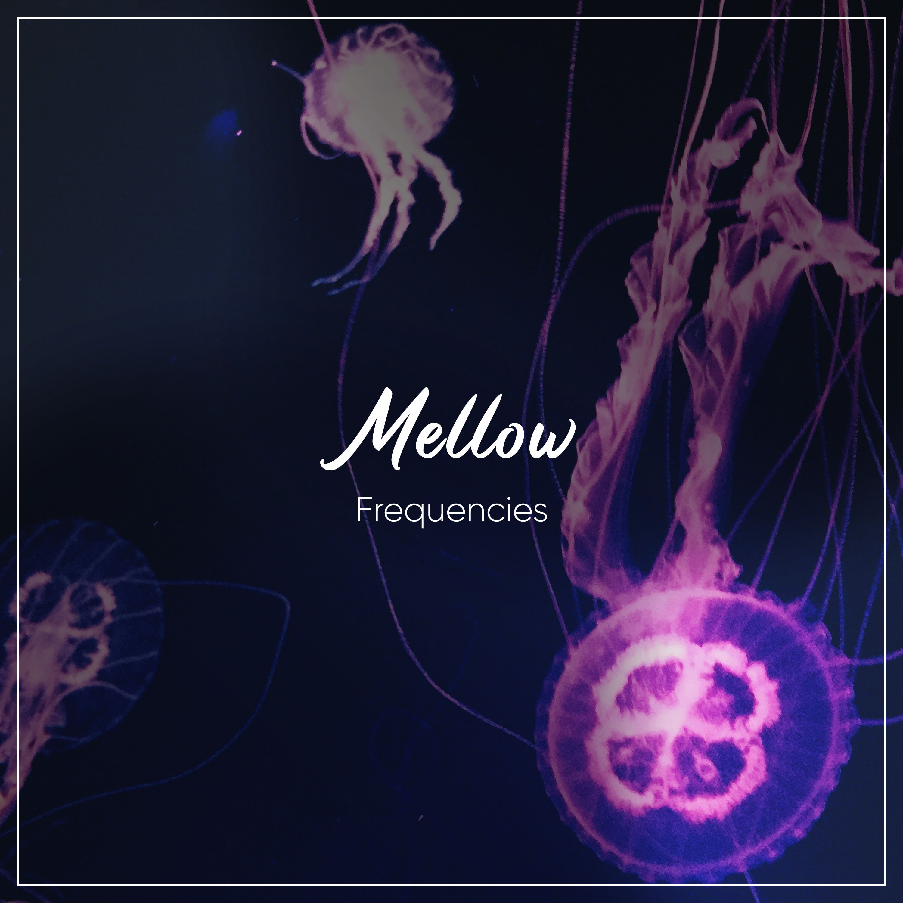 #19 Mellow Frequencies