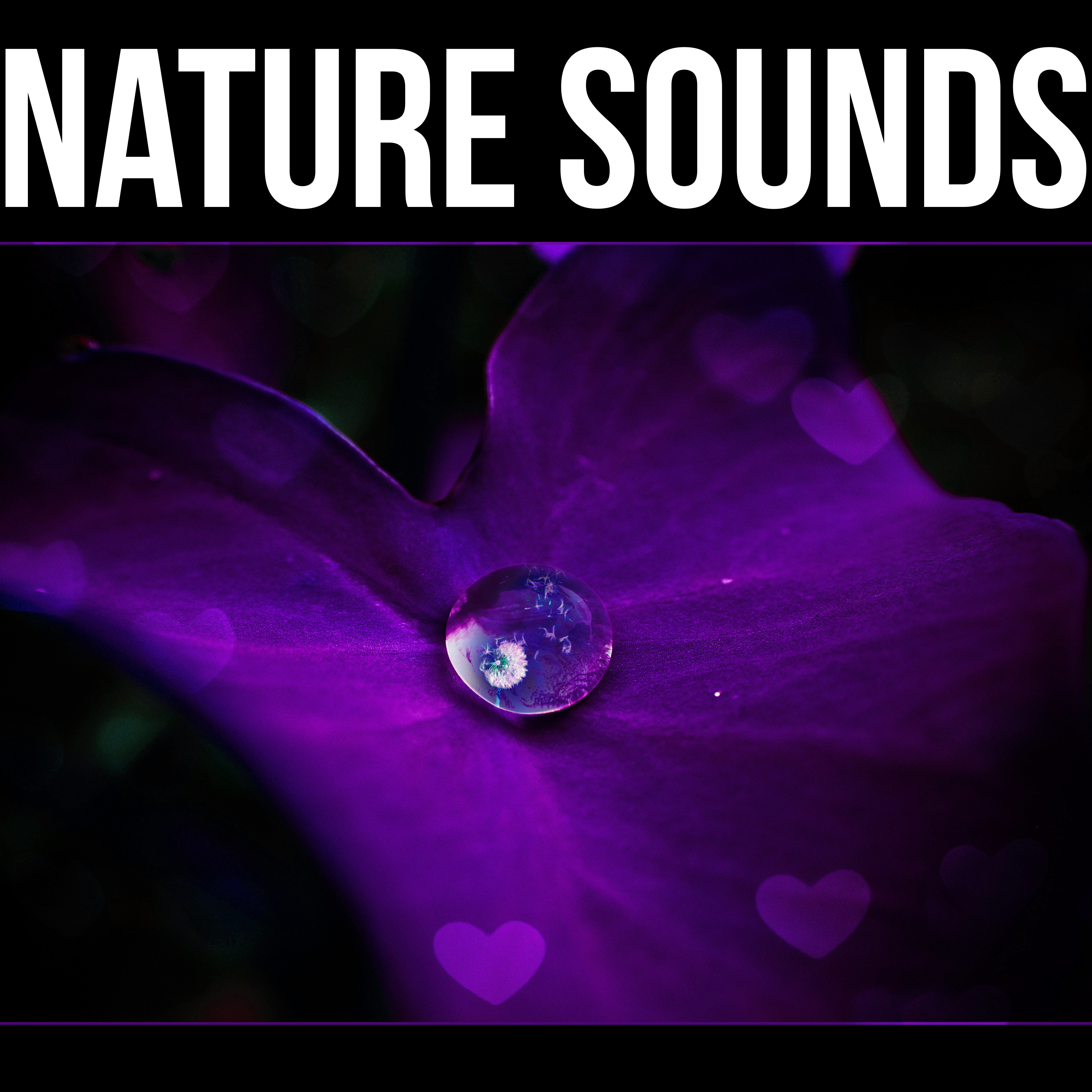 Nature Sounds - Pacific Ocean Waves, Well Being, Yoga, Massage Therapy, Home Spa, Meditation