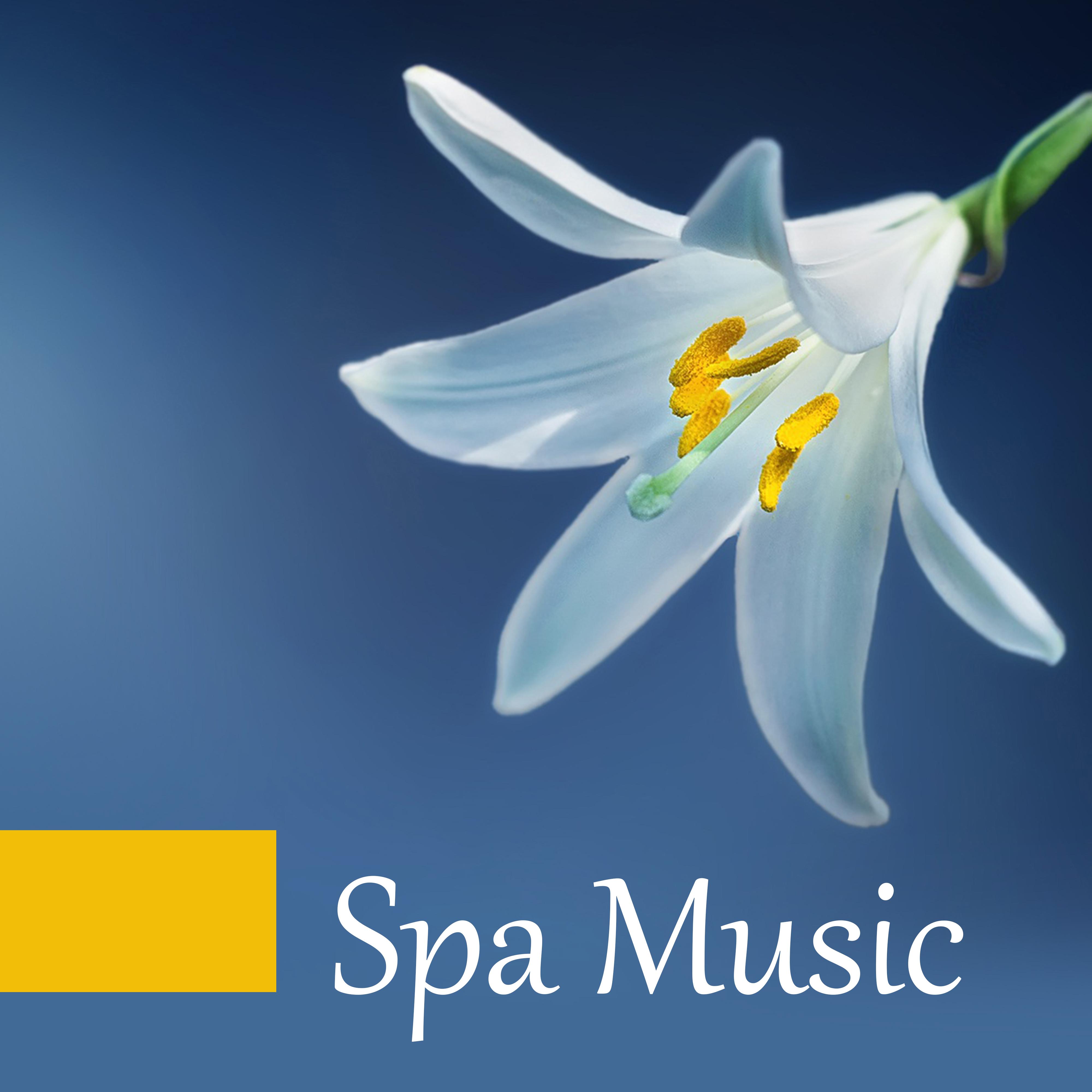 Spa Music – Pure Massage, Relaxation & Wellness, Pure Sleep, Soft Music to Calm Down, Relaxing Waves, Calm Mind, Silence