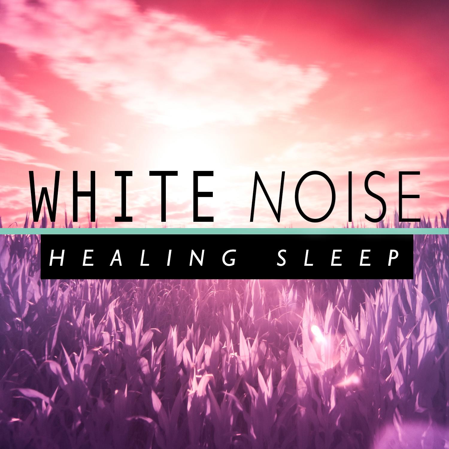 White Noise: Healing Sleep