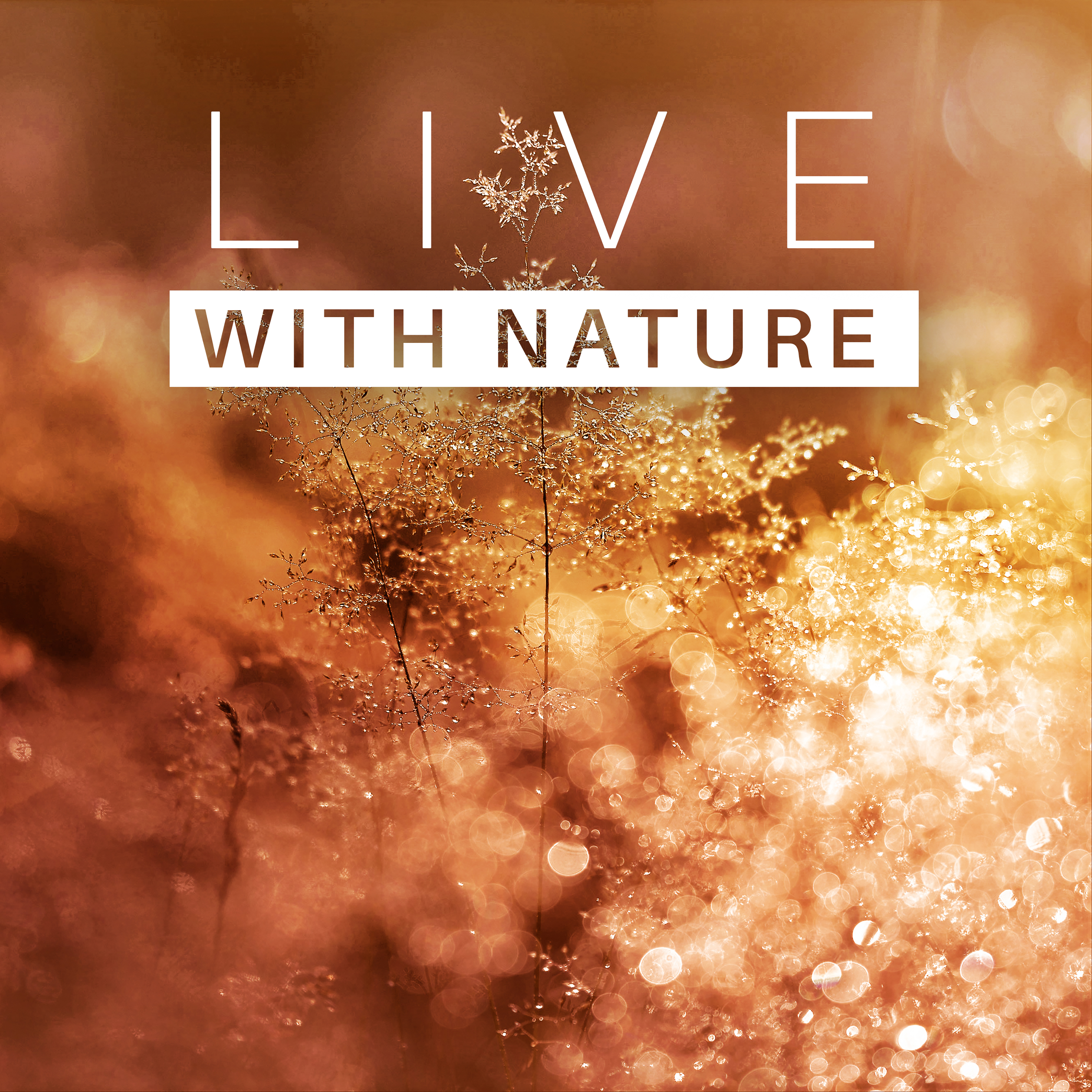 Live with Nature – Peaceful Music for Relaxation, Stress Free, Mind Power, Nature Sounds to Calm Down, Relaxing Waves