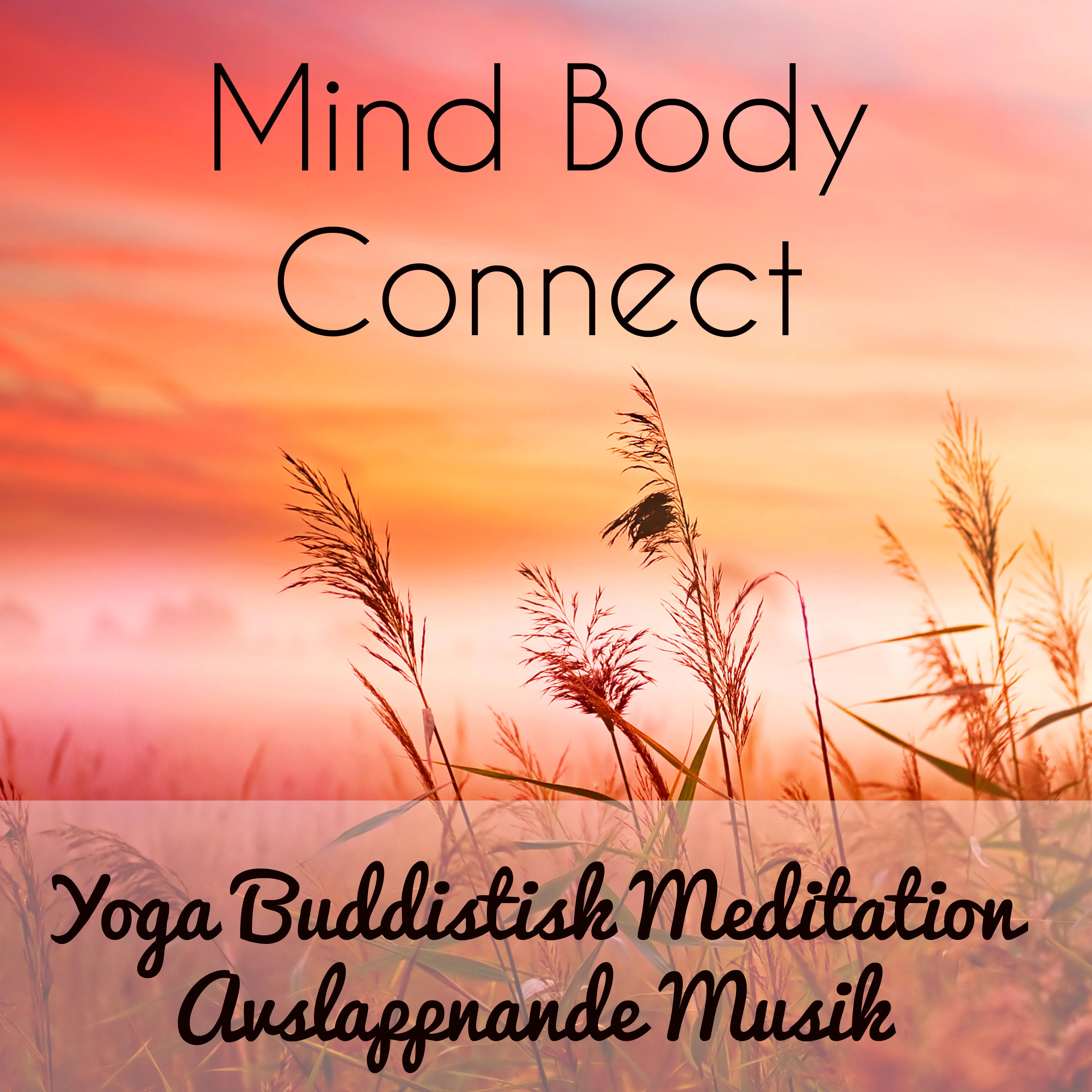 Mind Body Connect - Yoga Buddistisk Meditation Avslappnande Musik för Chakra Alignment Ljudterapi Klardrömmar