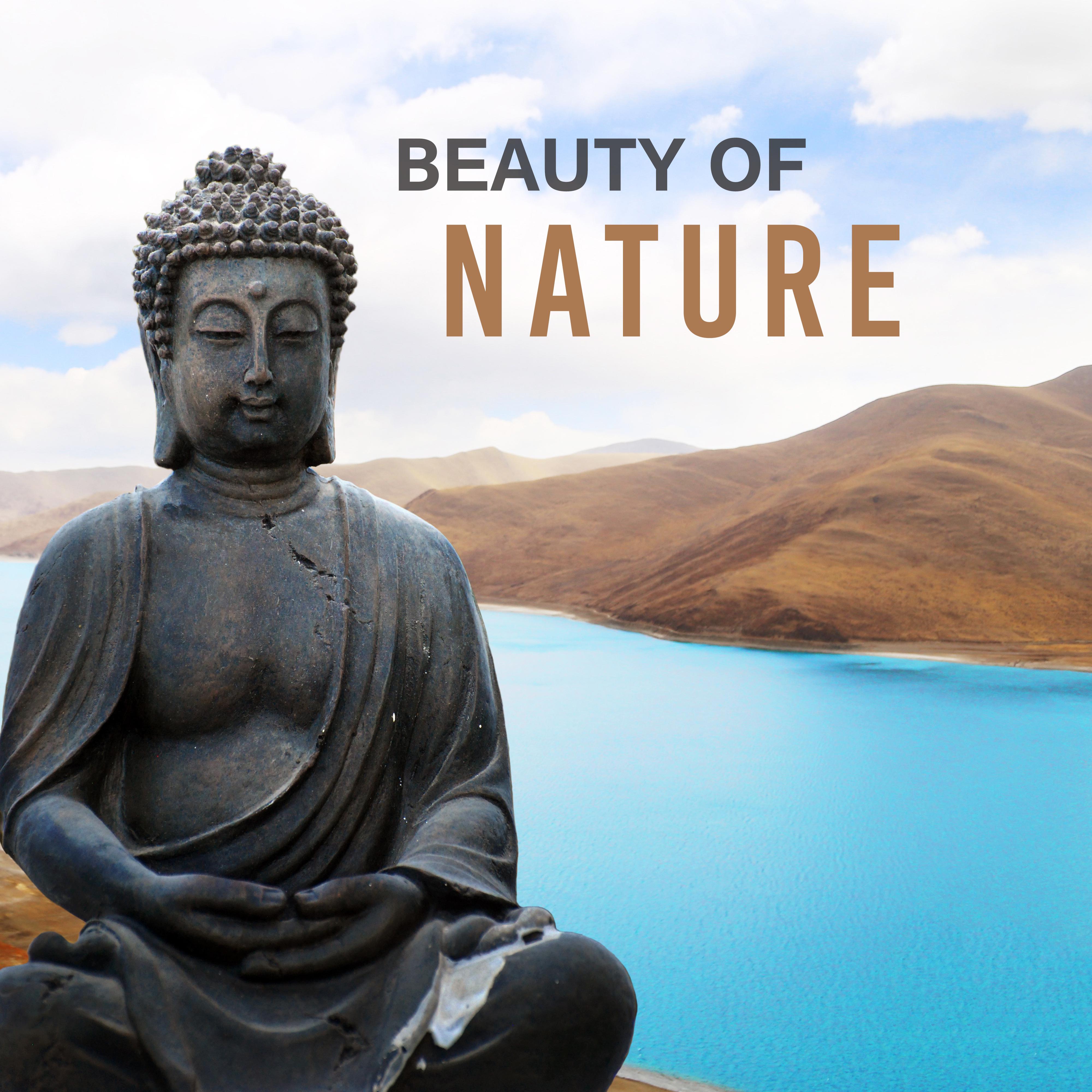 Beauty of Nature – Meditation Music, Nature Sounds, Stress Relief, Zen, Relaxation Music, Training Yoga, Tranquility & Harmony