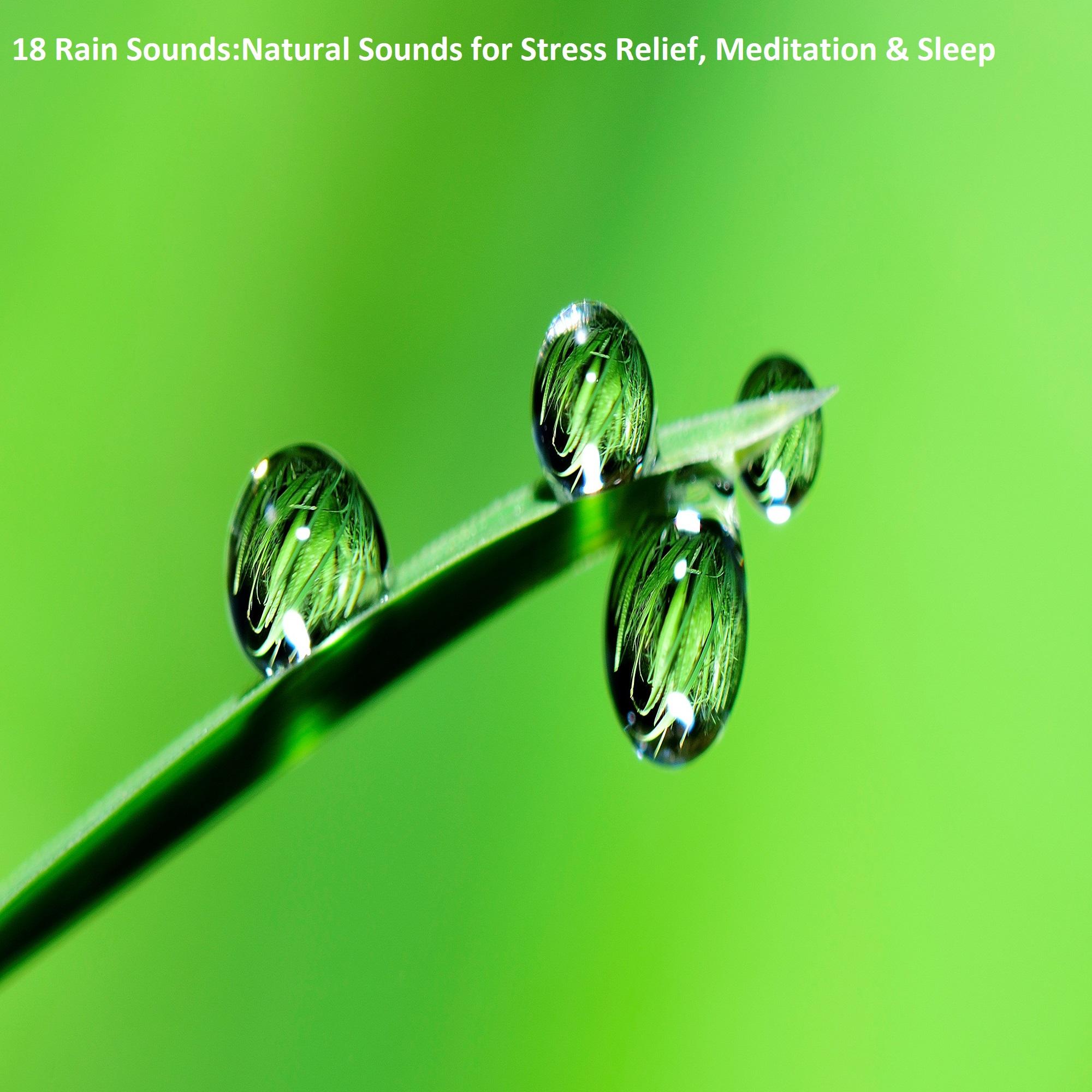 18 Rain Sounds: Natural Sounds for Stress Relief, Meditation & Sleep