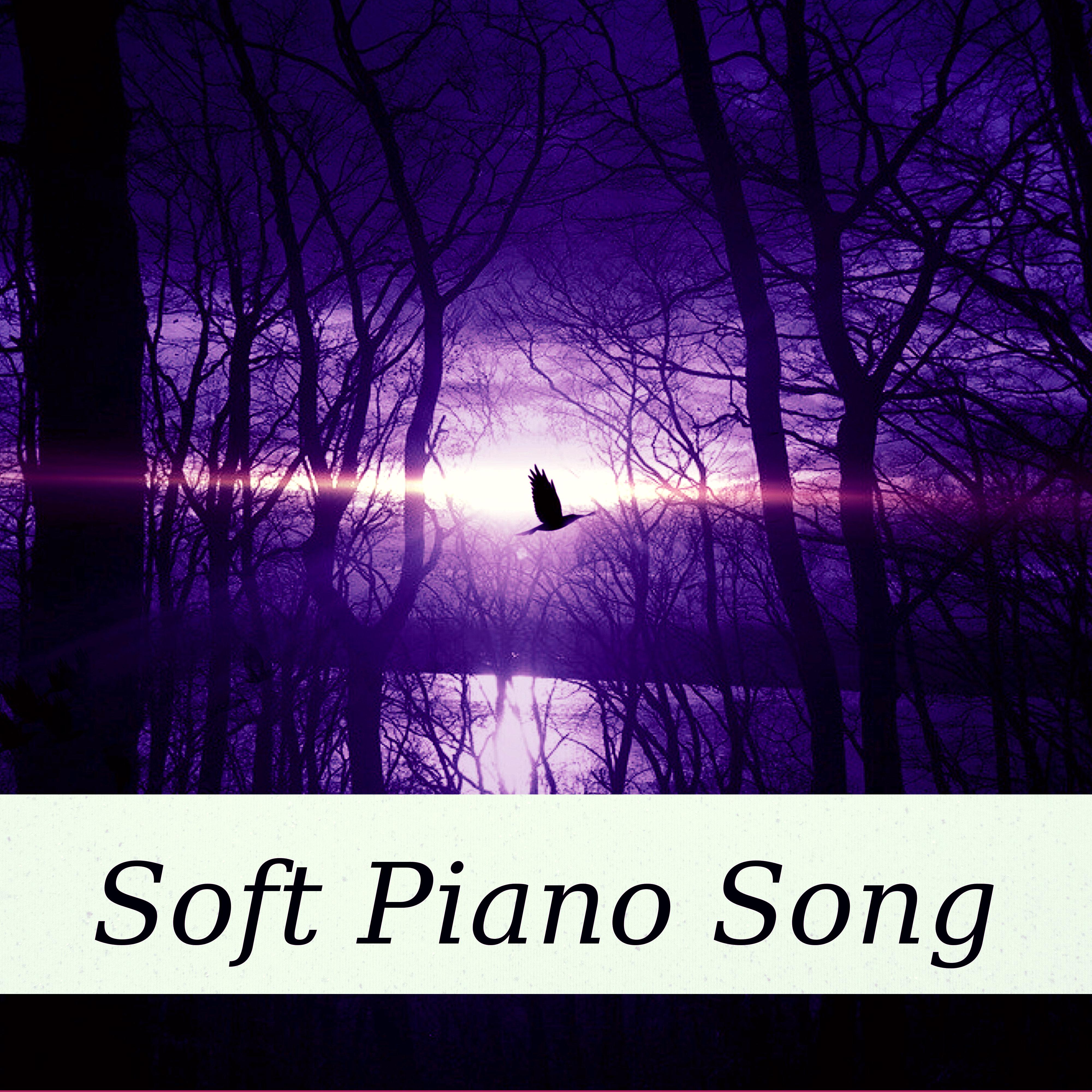Soft Piano Song – Calm and Quiet Night, Relaxing Piano, Sleep Hypnosis, Soothe Your Soul, Bedtime Music