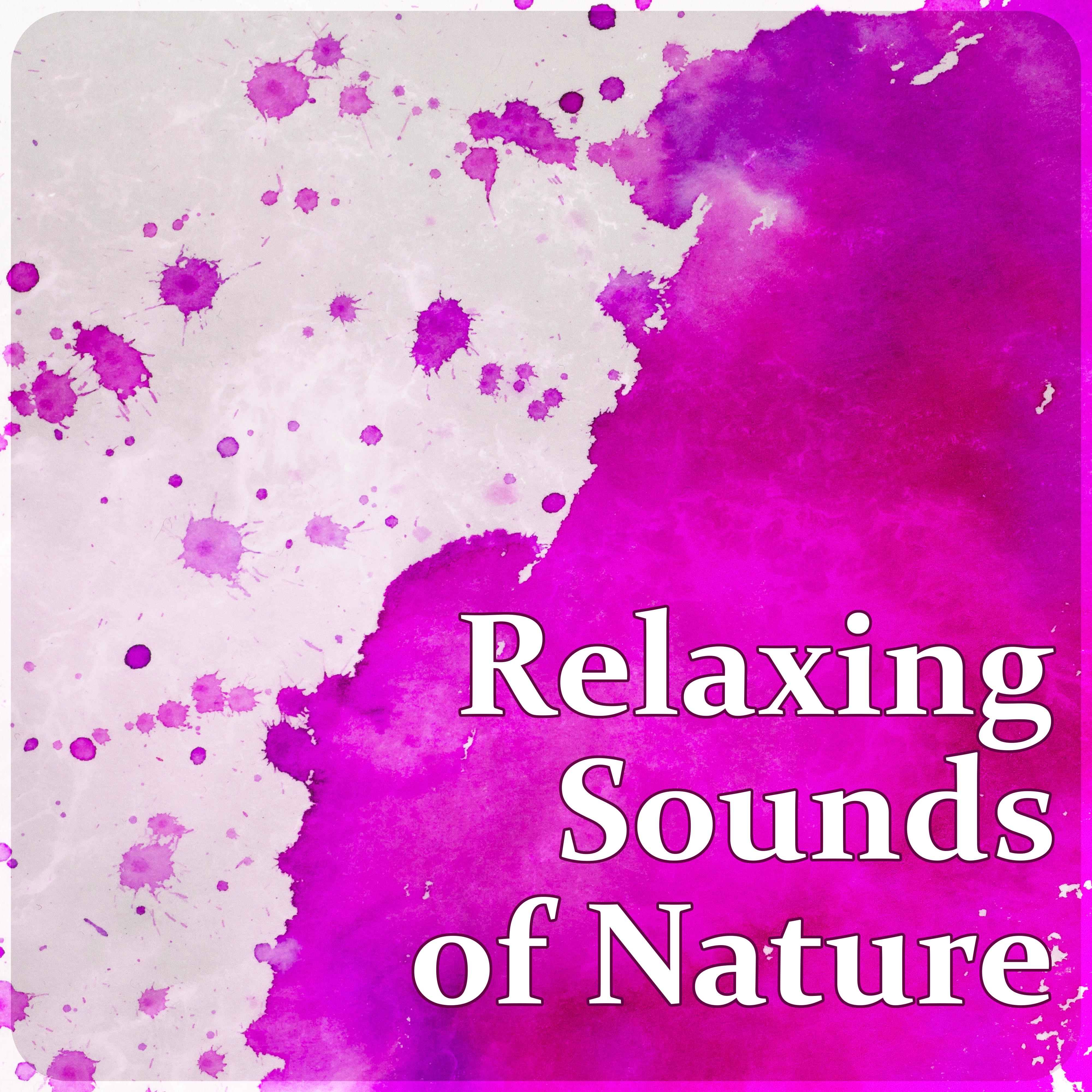 Relaxing Sounds of Nature – Calm and Quiet Sounds for Relax, Stress Relief After Work, Mood & Serenity Music