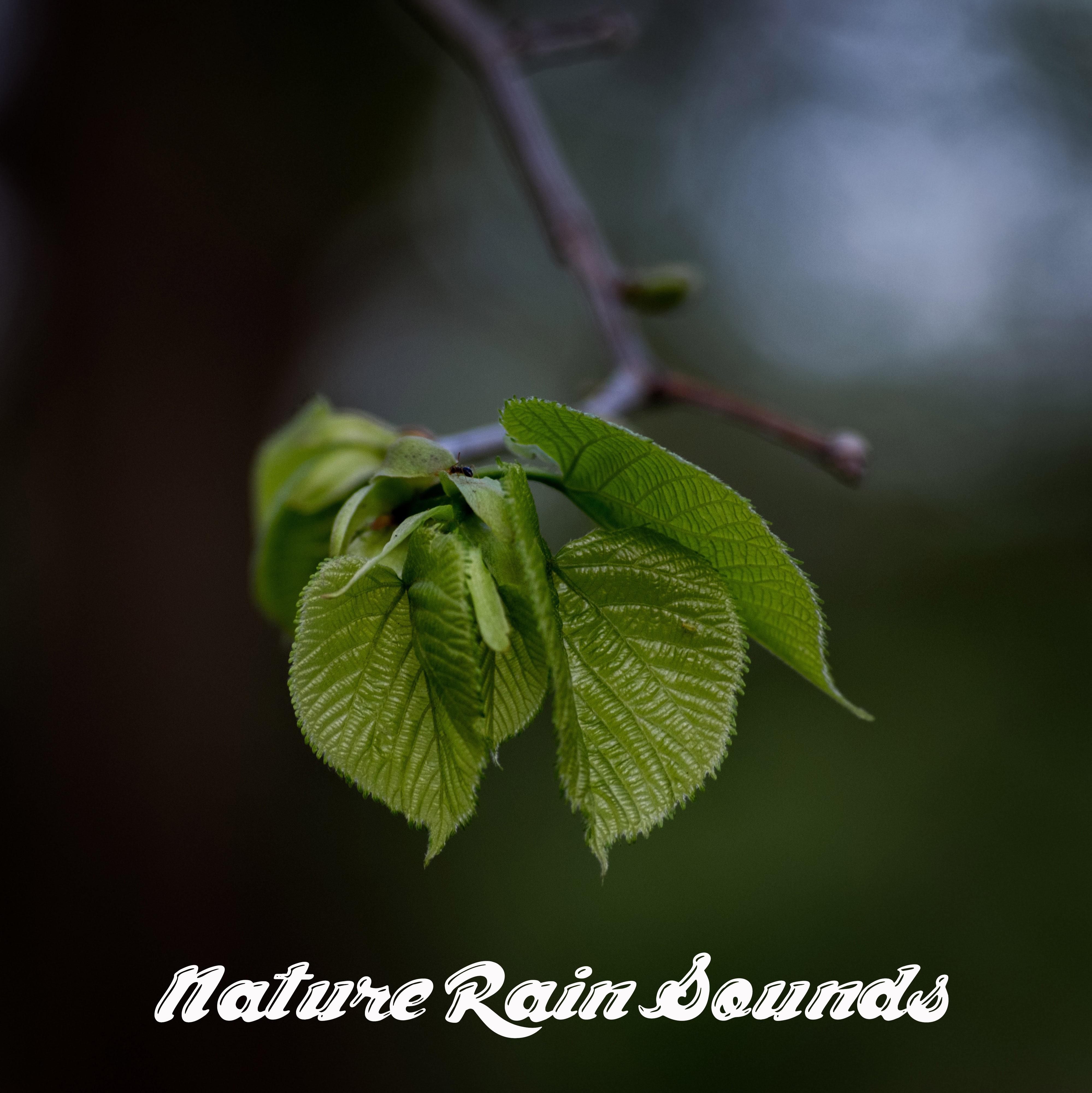 18 Nature Rain Sounds - Natural Meditation Noise