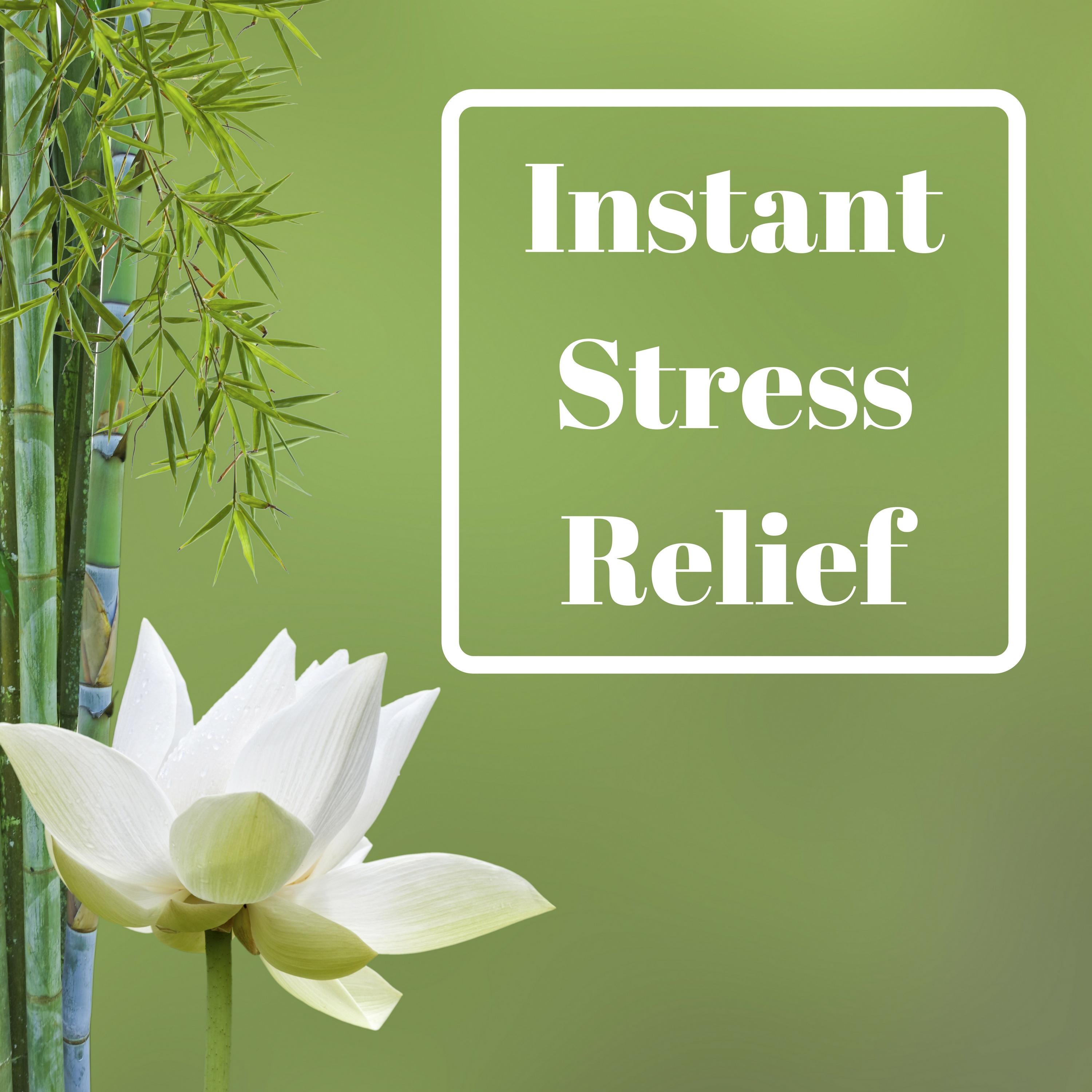 Instant Stress Relief - Restful Oasis of Zen Garden, Magical Music for Positive Attitude