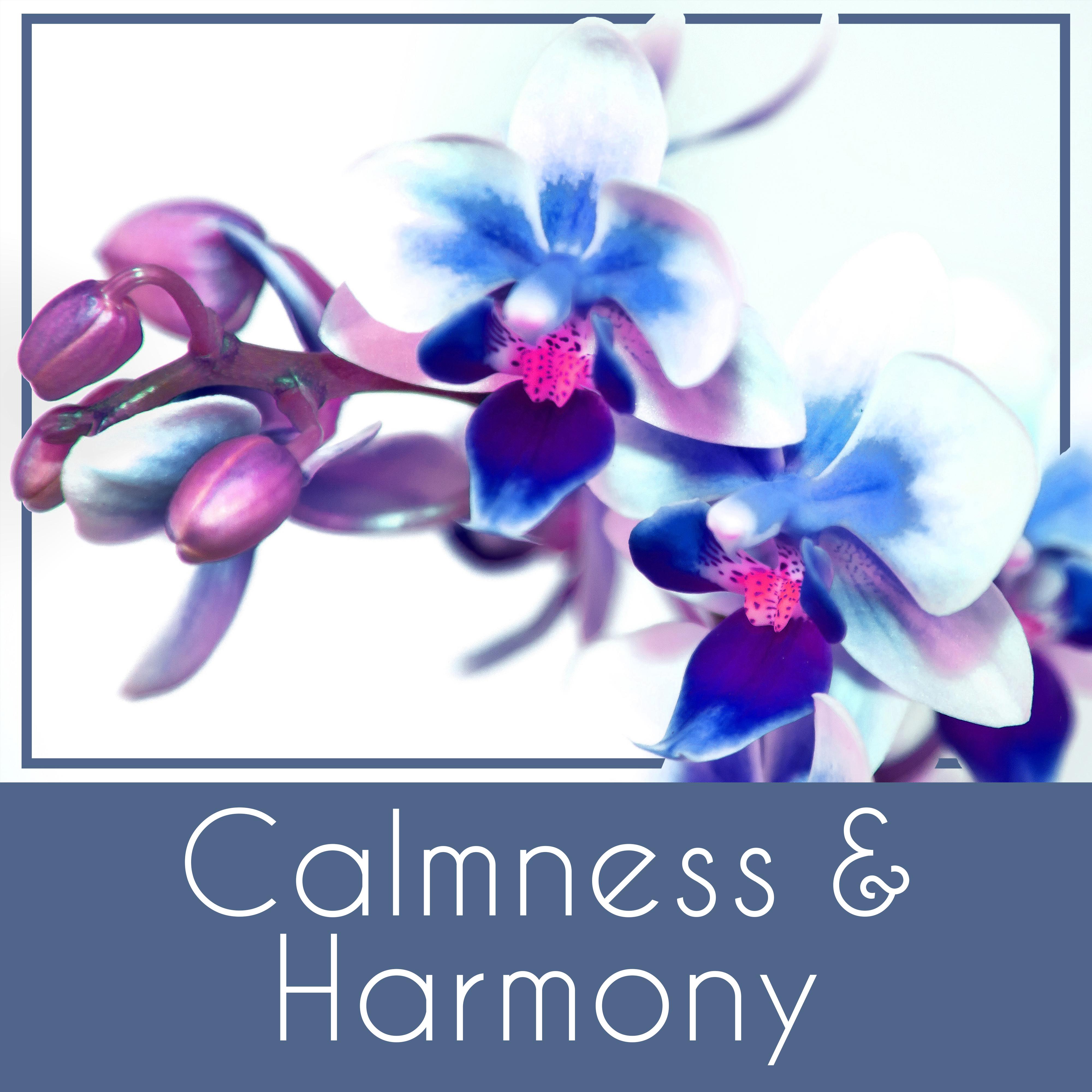 Calmness & Harmony – Spa Music, Deep Sleep, Nature Sounds, Pure Waves, Zen Garden, Soothing Melodies for Relaxation
