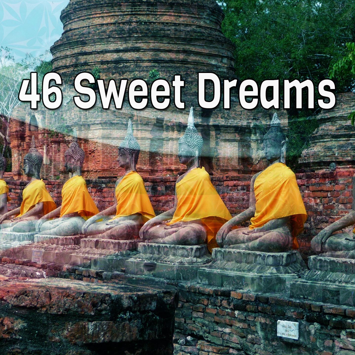 46 Sweet Dreams