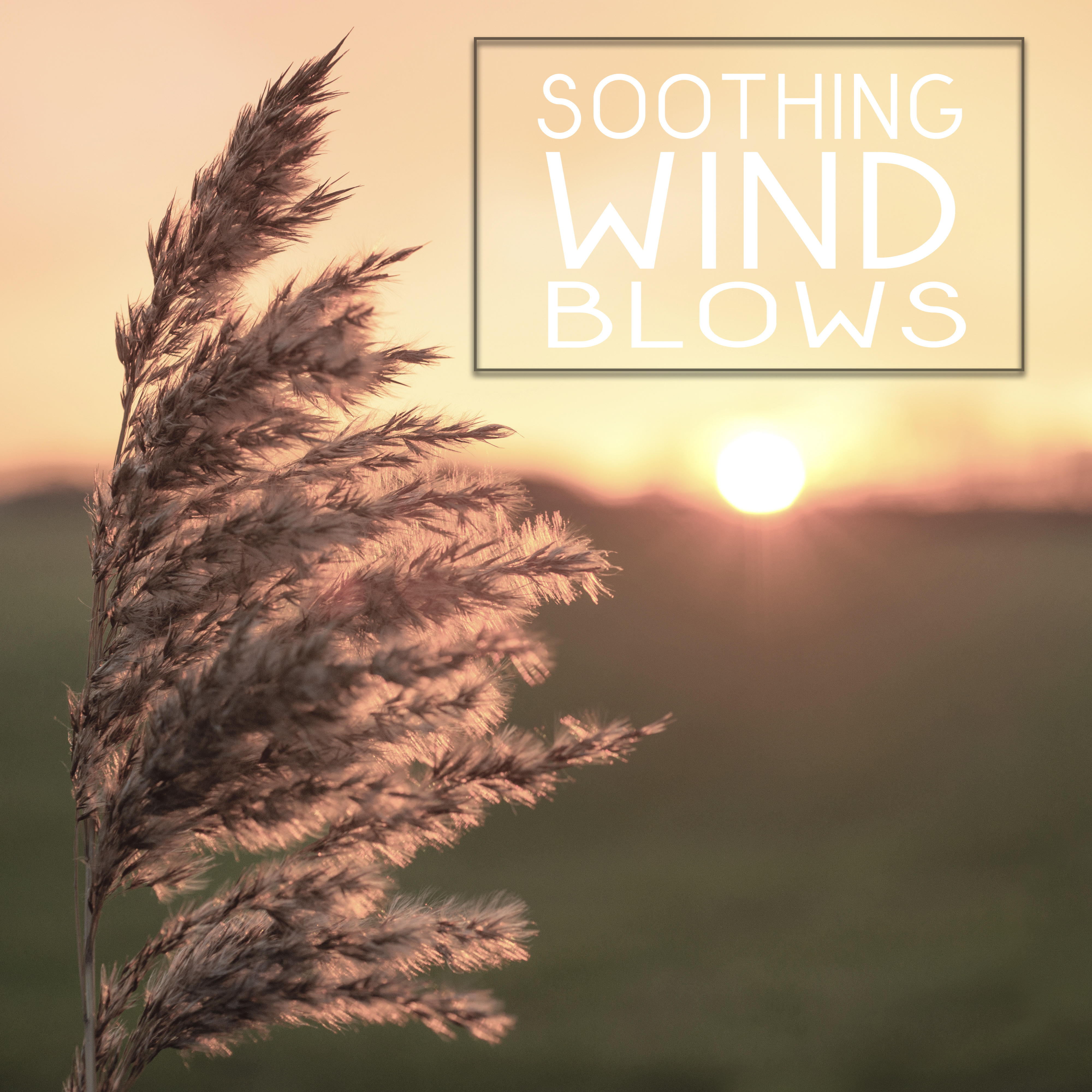 Soothing Wind Blows – Beautiful Nature Sounds, Rest & Relax, New Age Music, Sounds to Calm Mind