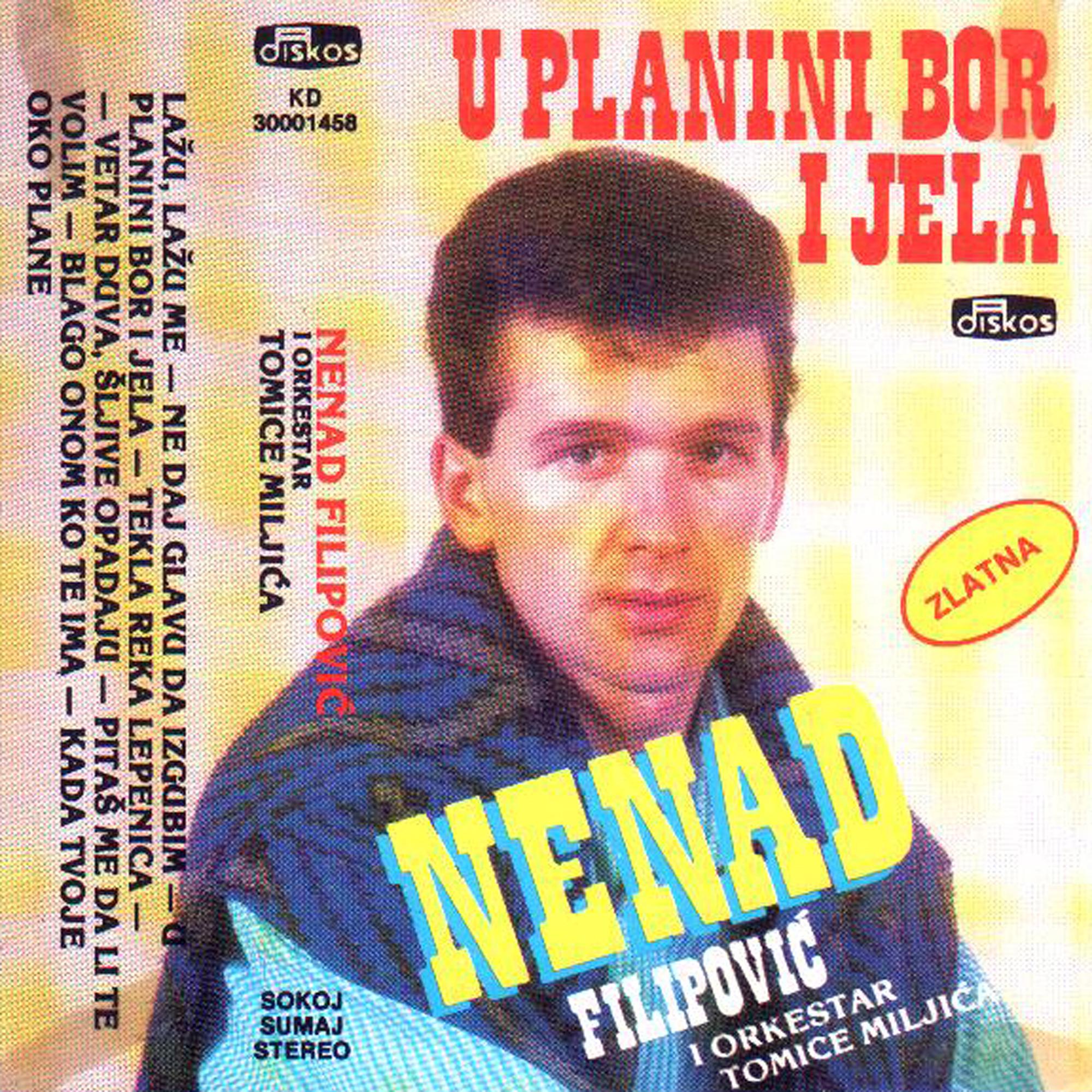 U Planini Bor I Jela