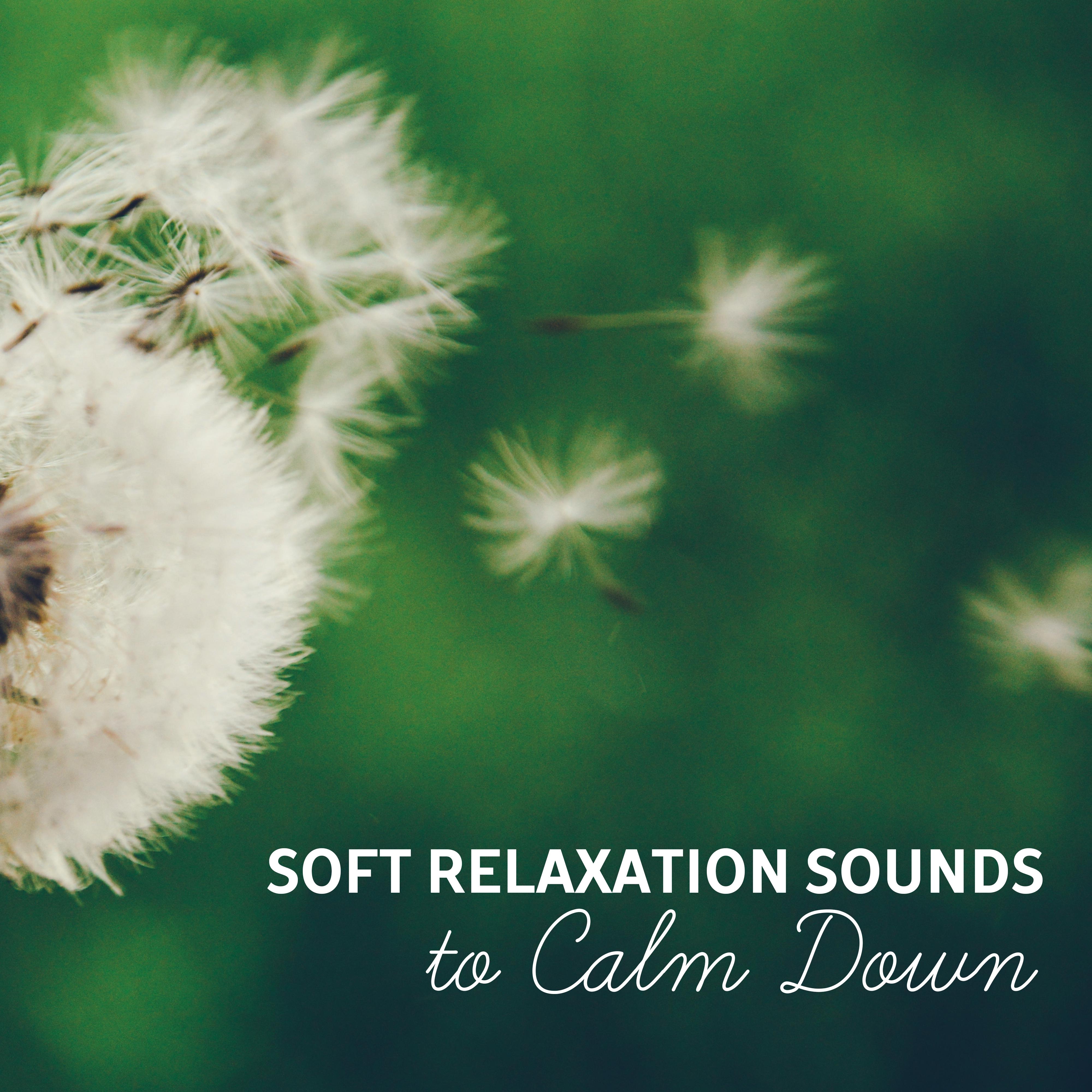 Soft Relaxation Sounds to Calm Down – New Age Relaxation, Waves of Calmness, Easy Listening, Healing Therapy