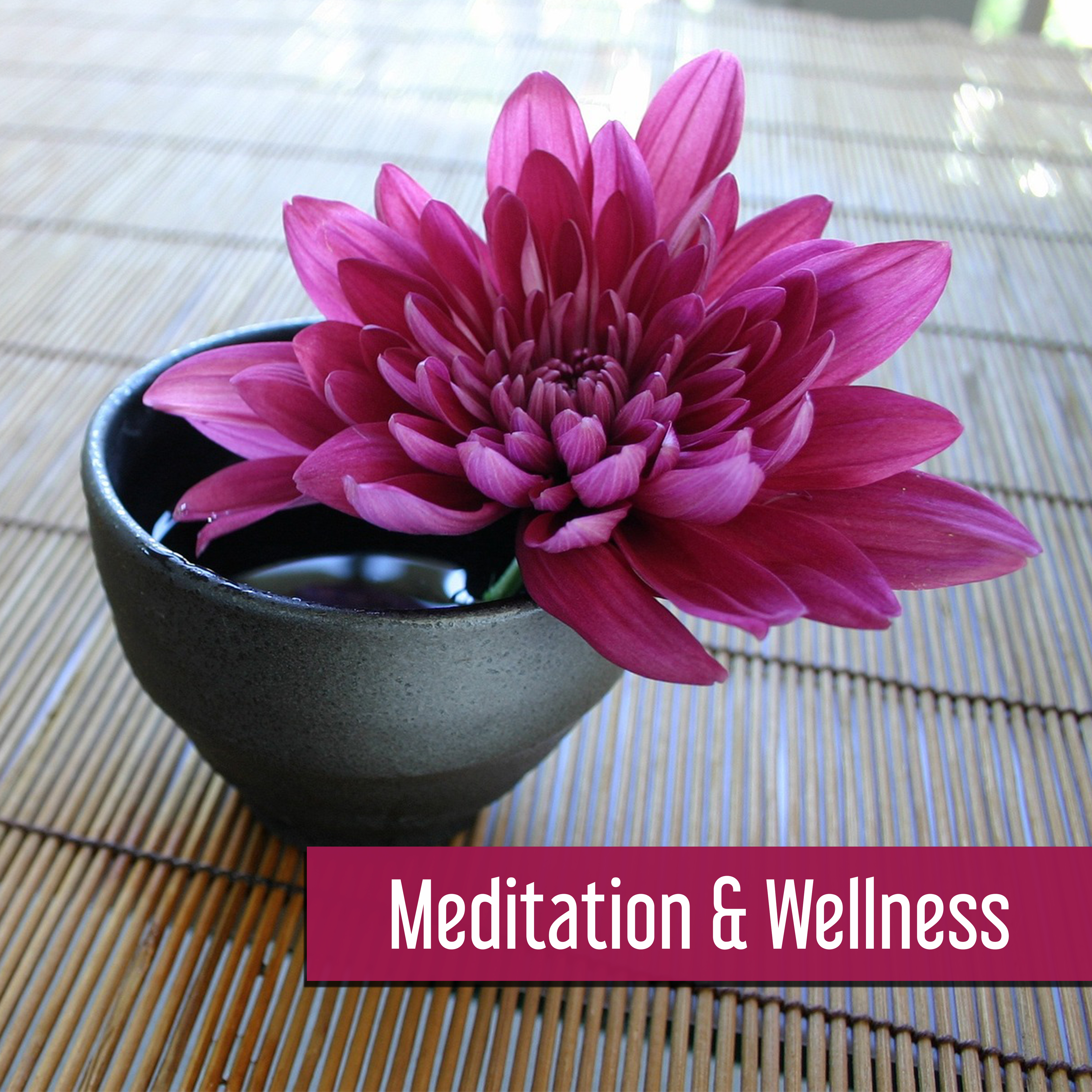Meditation & Wellness – Spa Music, Pure Massage, Soothing Piano, Oriental Flute, Asian Zen Spa, Soft Music for Relaxation, Harmony
