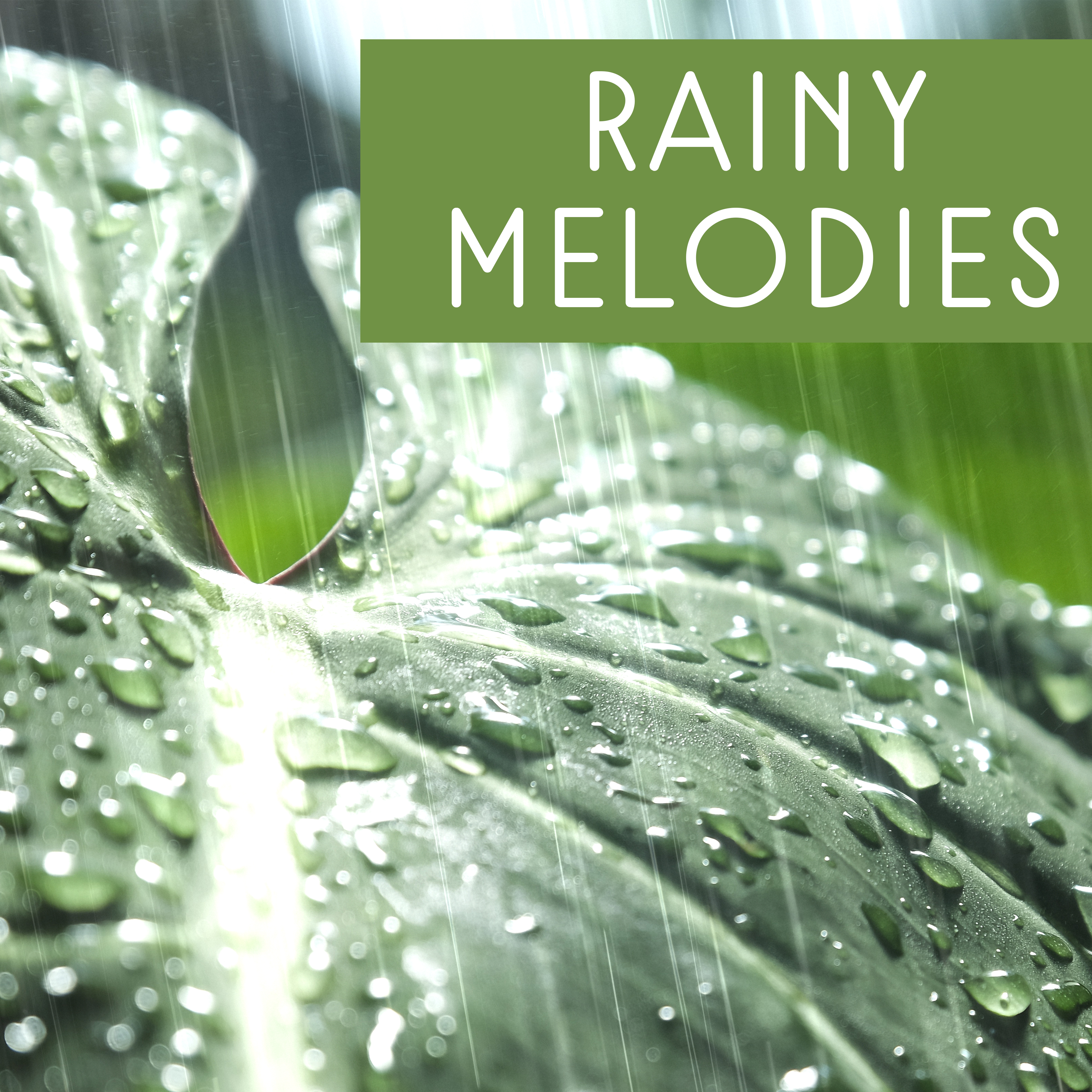 Rainy Melodies – Sounds of Nature, Rainy Songs, Good Mood, New Age, Relaxing Music