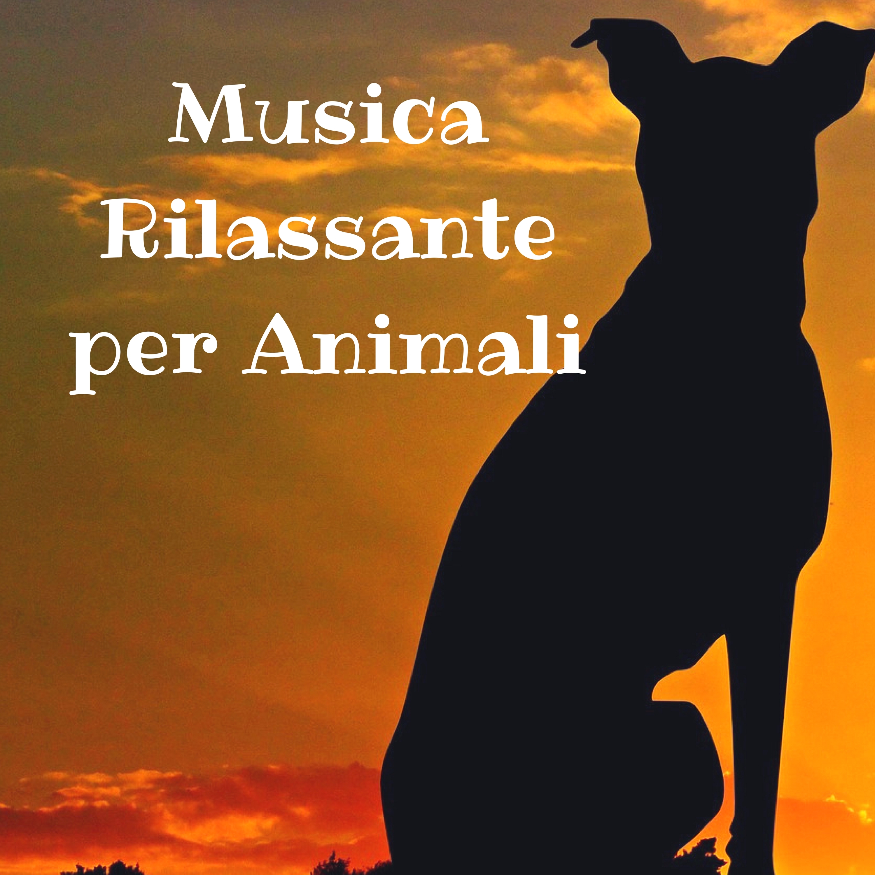 Musicoterapia per la Salute degli Animali