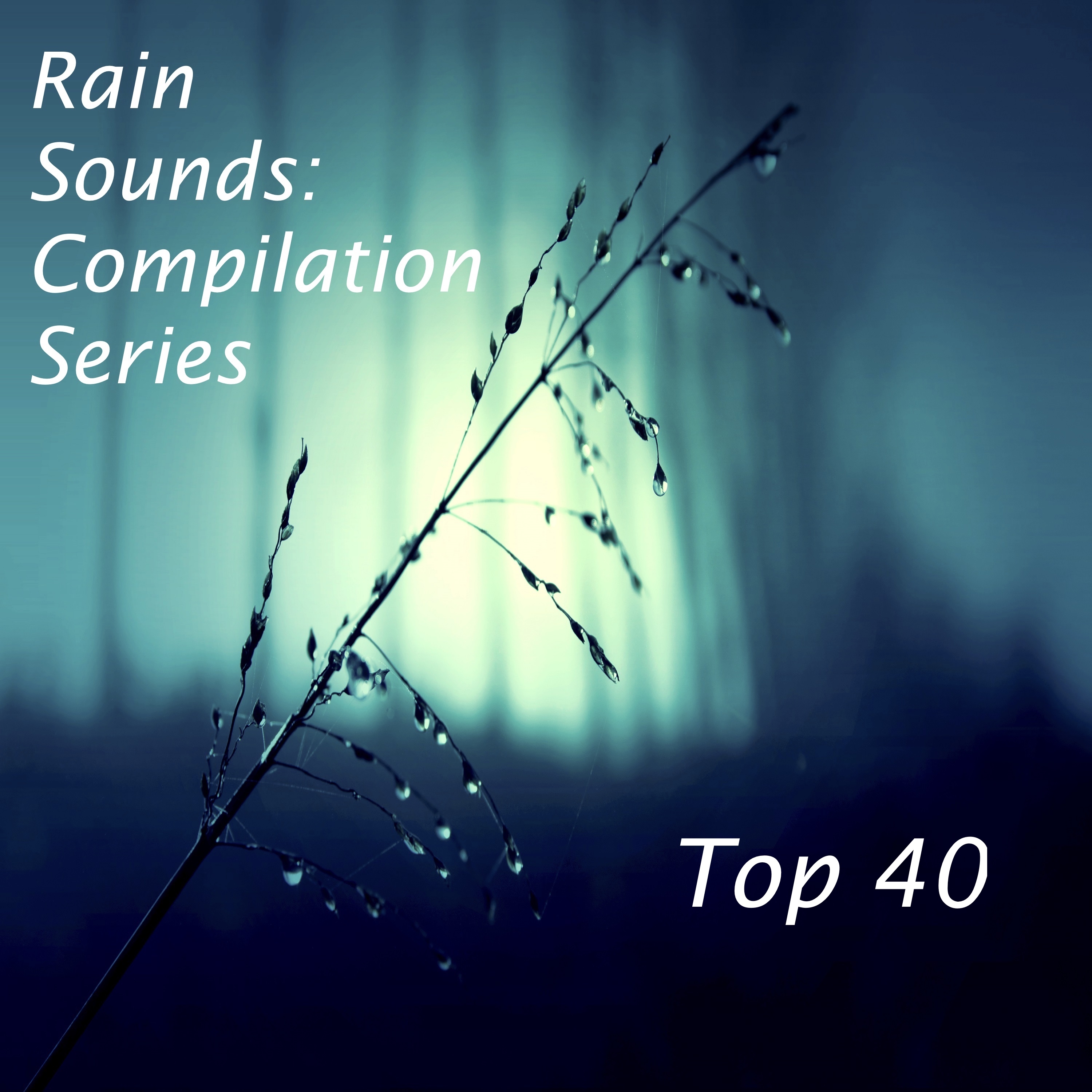2017 Compilation: Top 40 Loopable Rain Sounds for Deep Sleep, Insomnia, Meditation and Relaxation