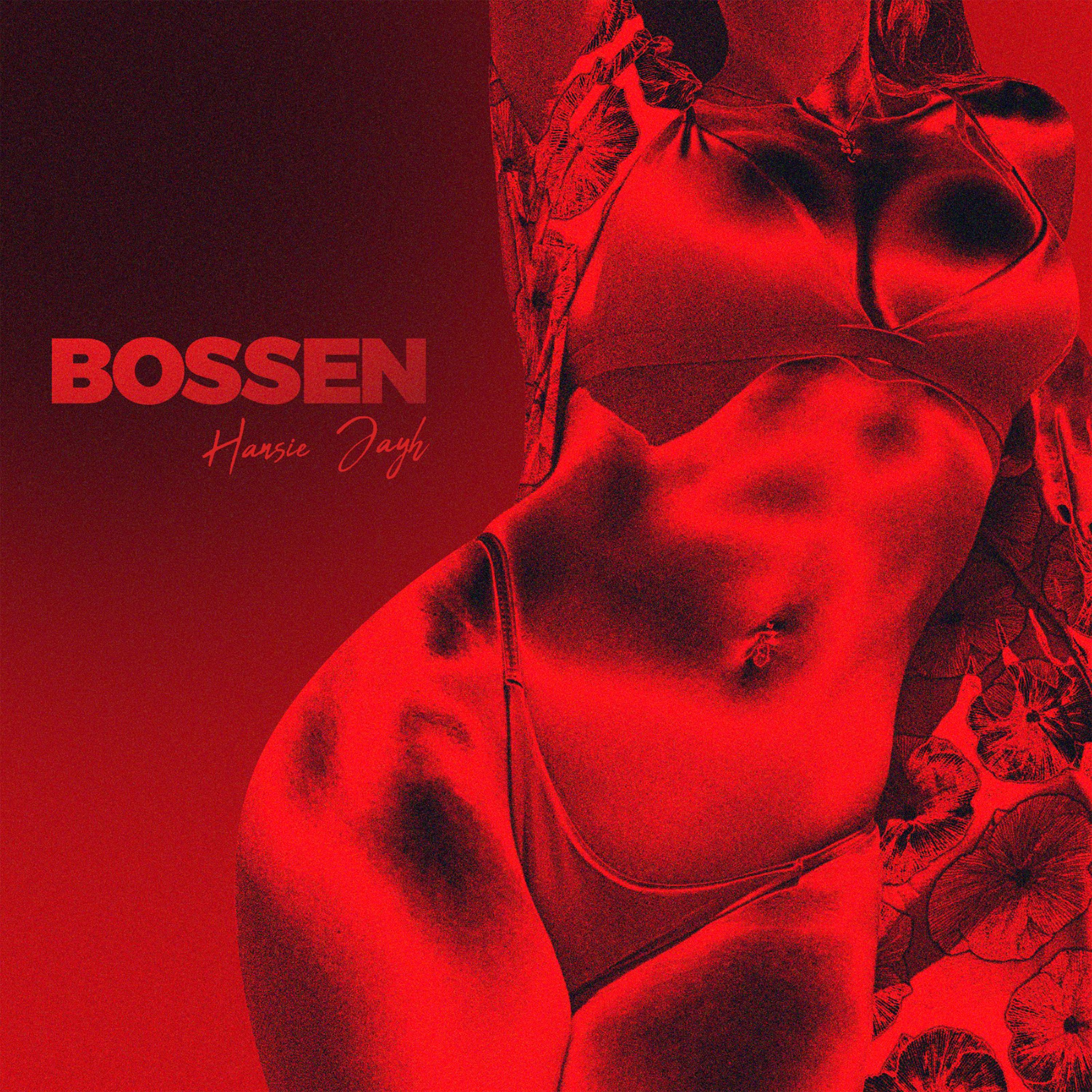 Bossen (Instrumental)