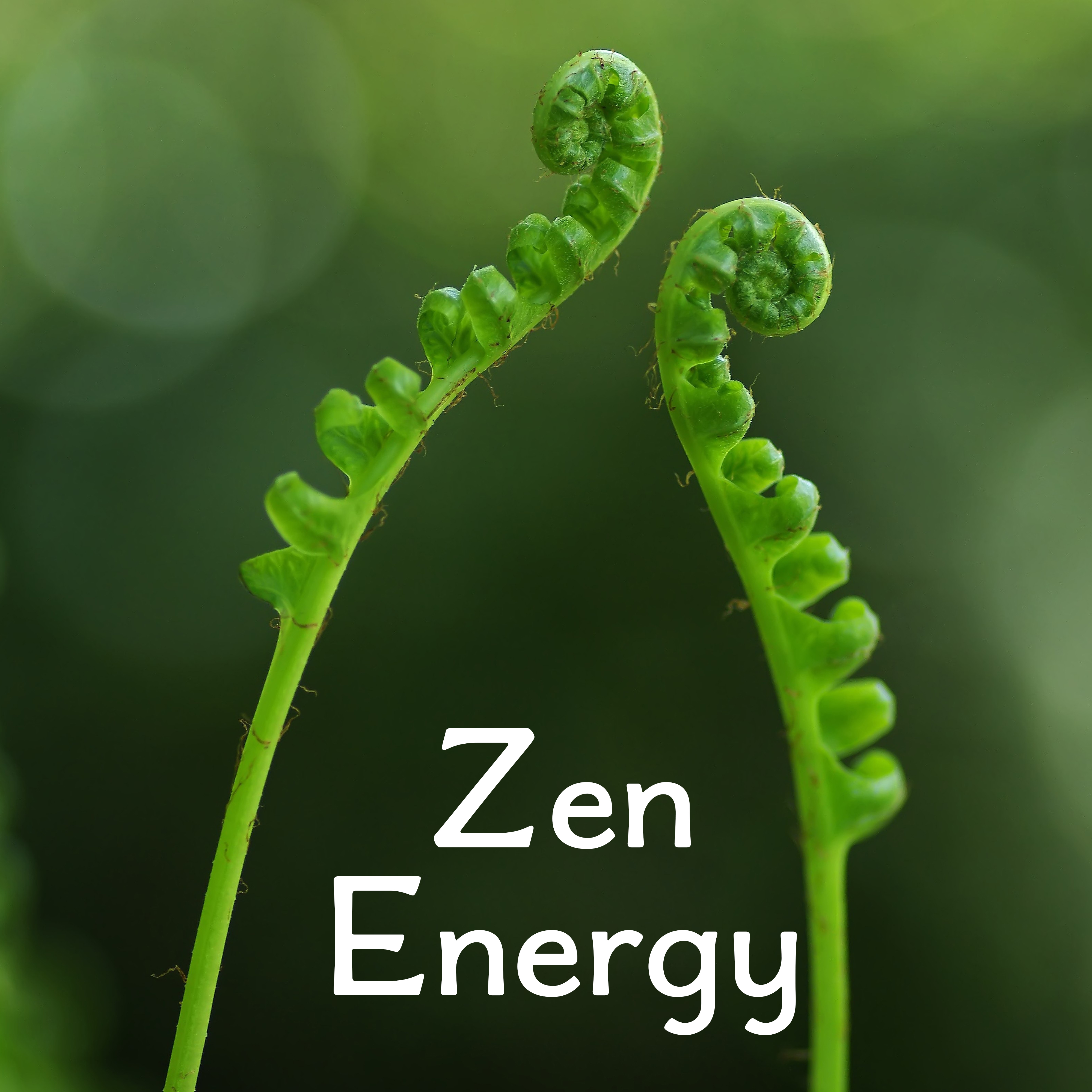 Zen Energy – Contemplation of Nature, Soft Music for Relaxation, Pure Mind, Relief, Relaxing Waves, Inner Tranquility