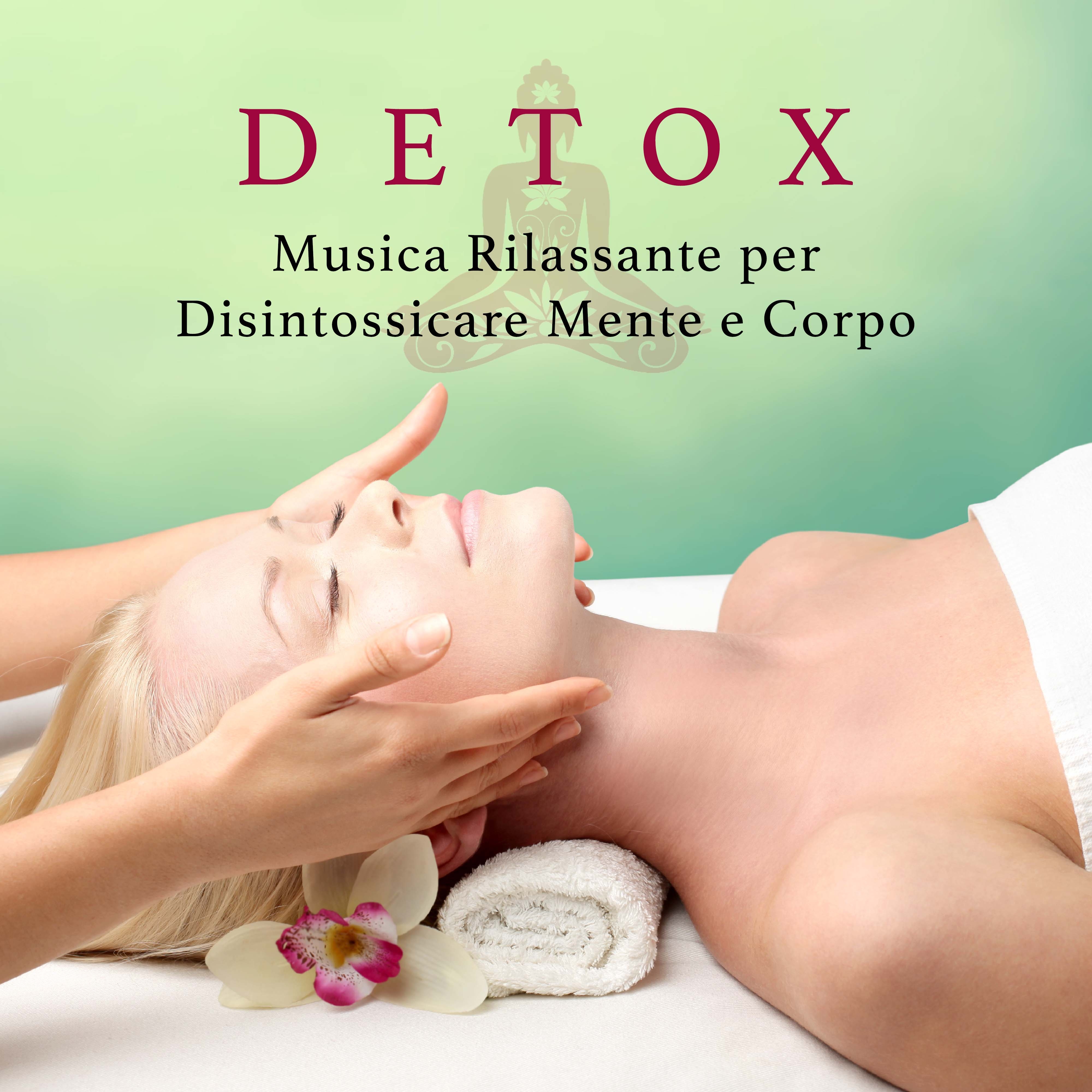 Detox - Musica Rilassante per Disintossicare Mente e Corpo