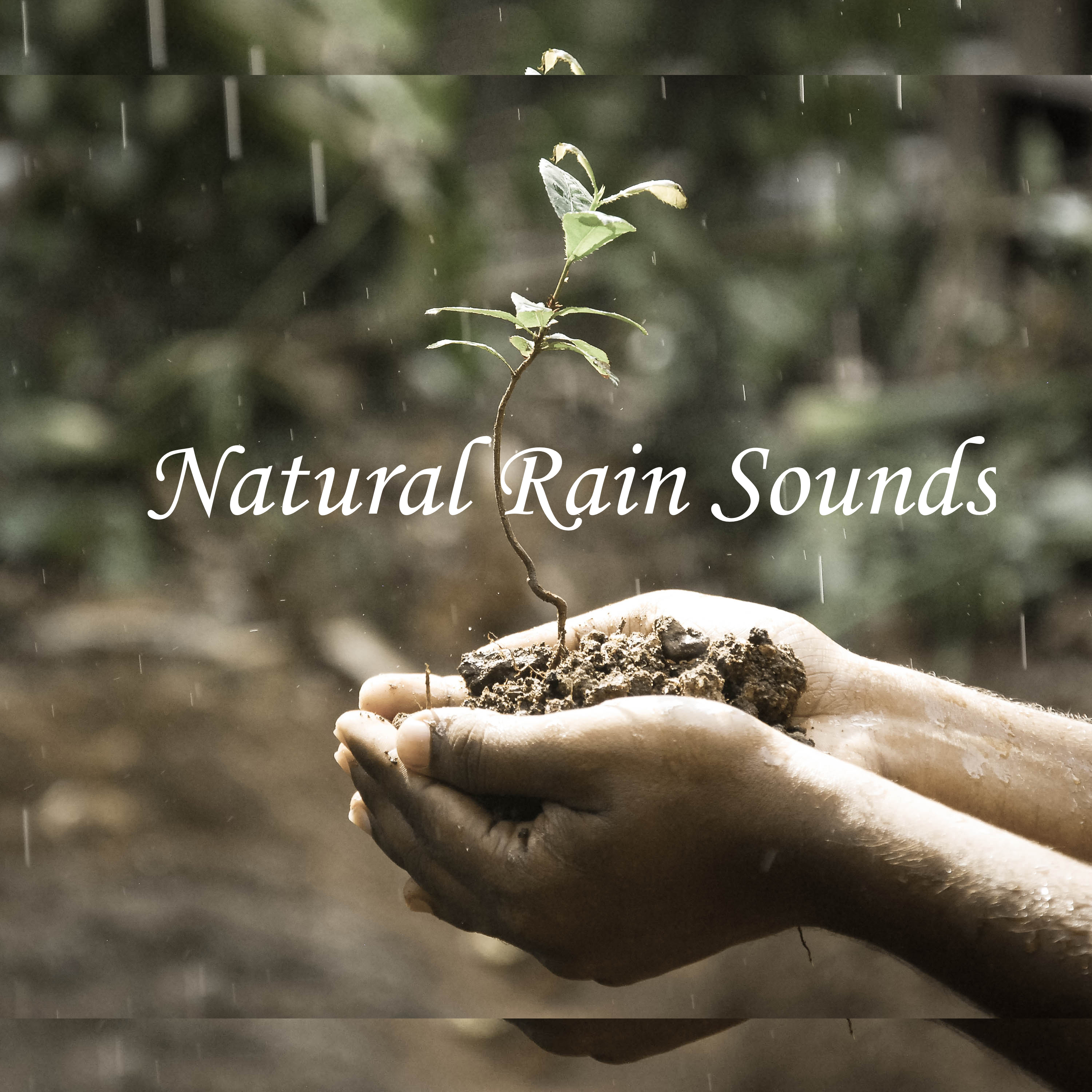 13 Natural Rain Sounds: Sleep Aid, Insomnia, Relaxation, Focus, Zen, Meditate, Calm, Tranquil, Peace