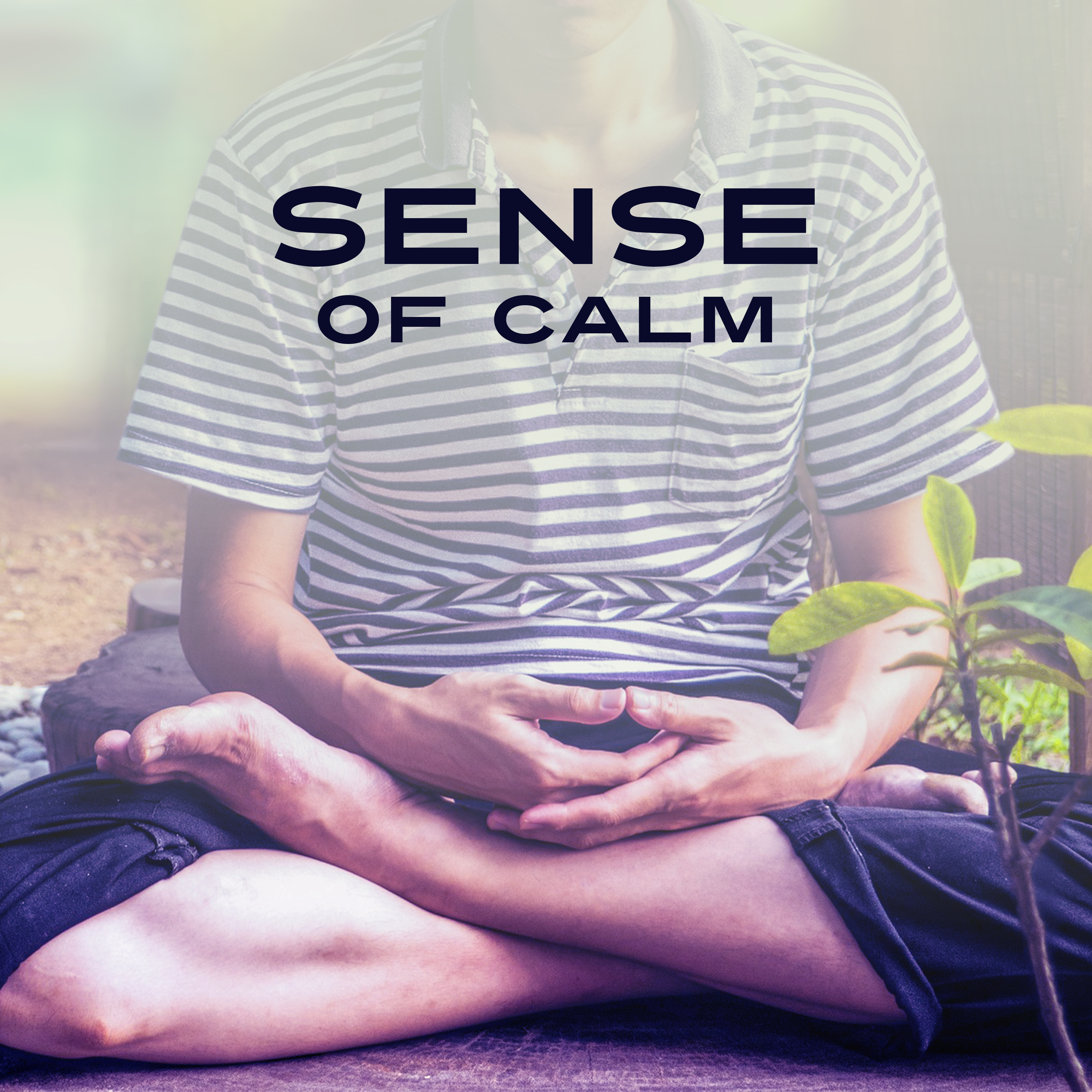 Sense of Calm – Peaceful Nature Sounds, for Mindfulness Practice, Yoga Music, Meditation Zone, Serenity Relax Time