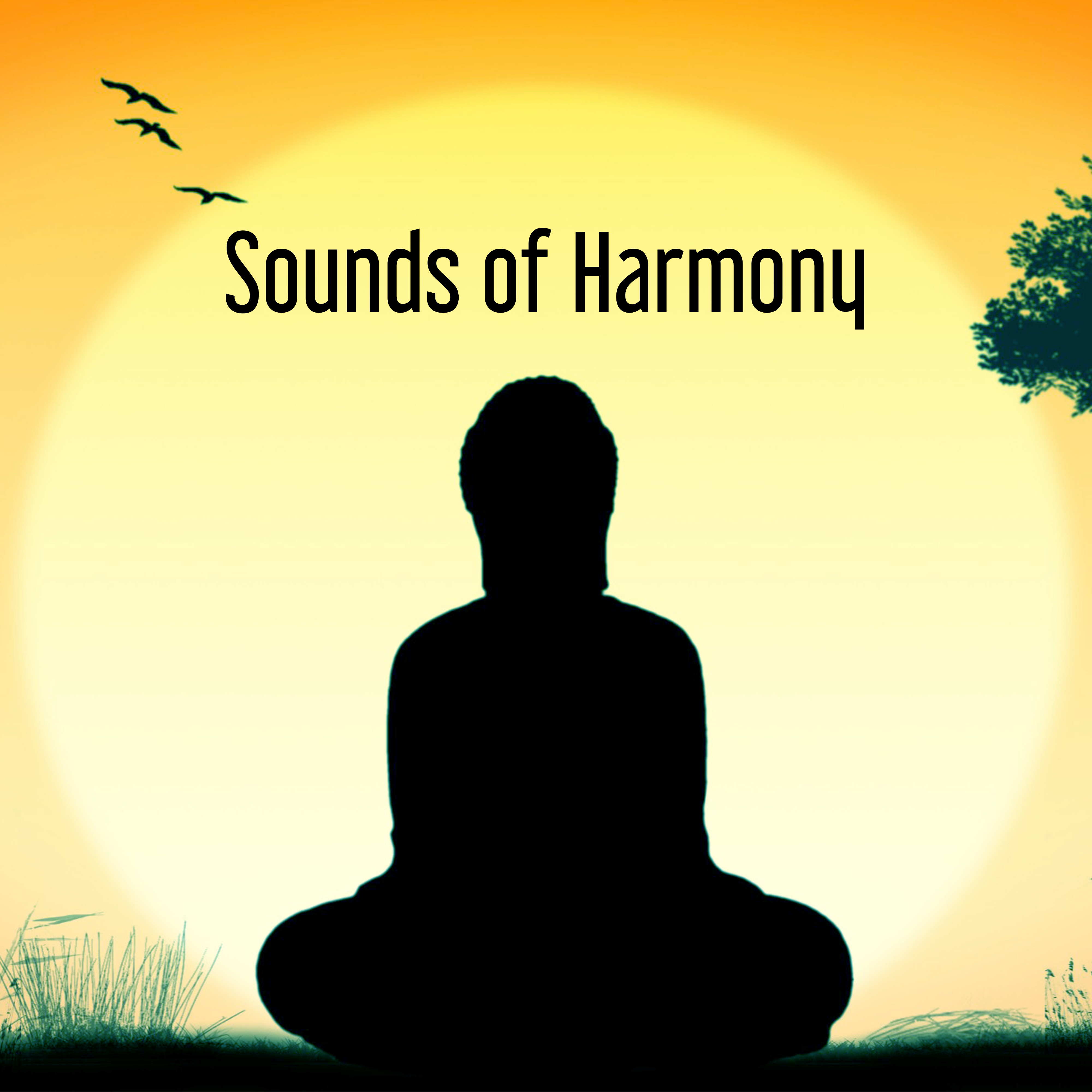 Sounds of Harmony – Meditation Lounge, Buddha Relaxation, Inner Silence, Music to Calm Down, Stress Relief