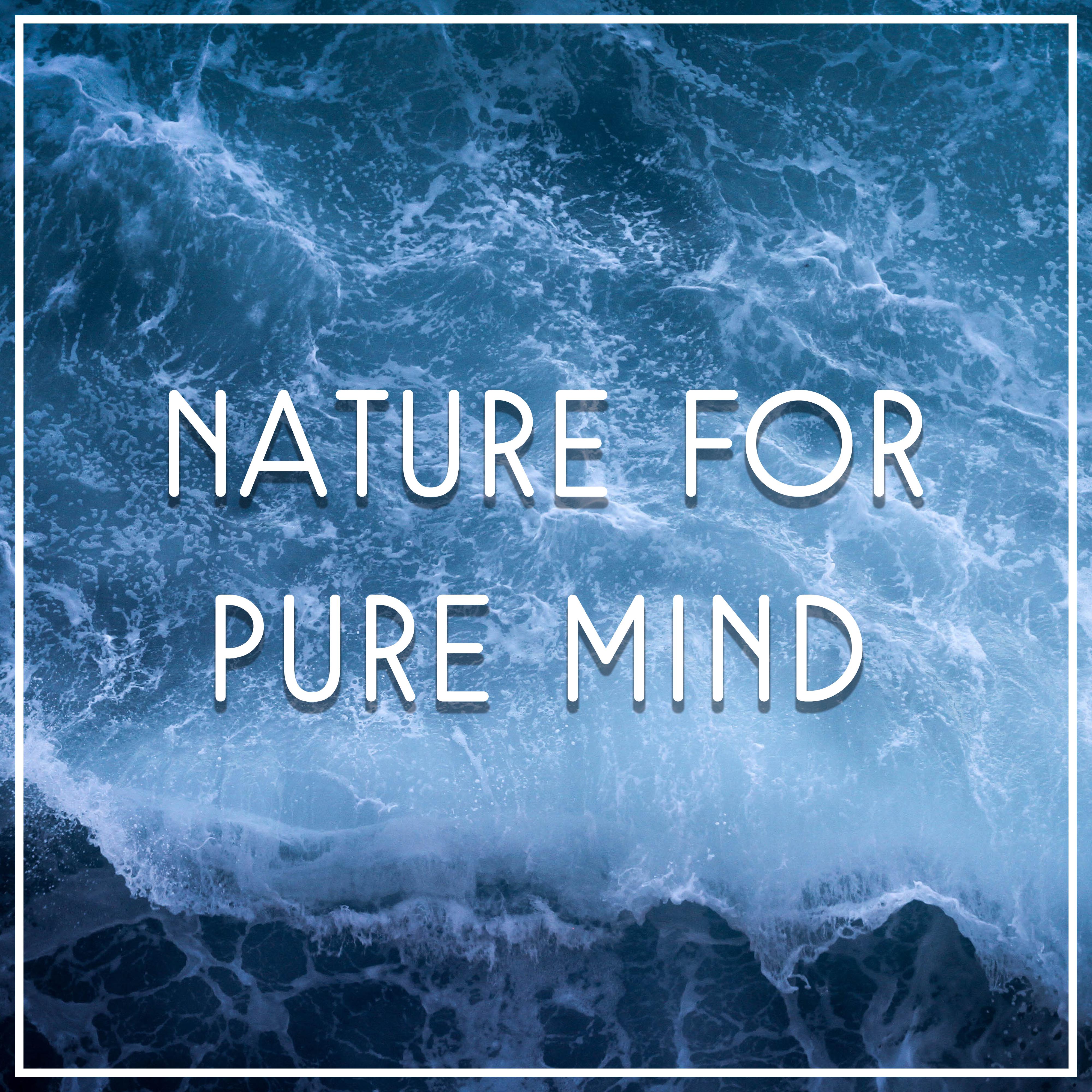 Nature for Pure Mind – Soft Music to Rest, Calming Sounds, Relaxing Waves, Soothing Water, Relaxation Music, Deep Relief