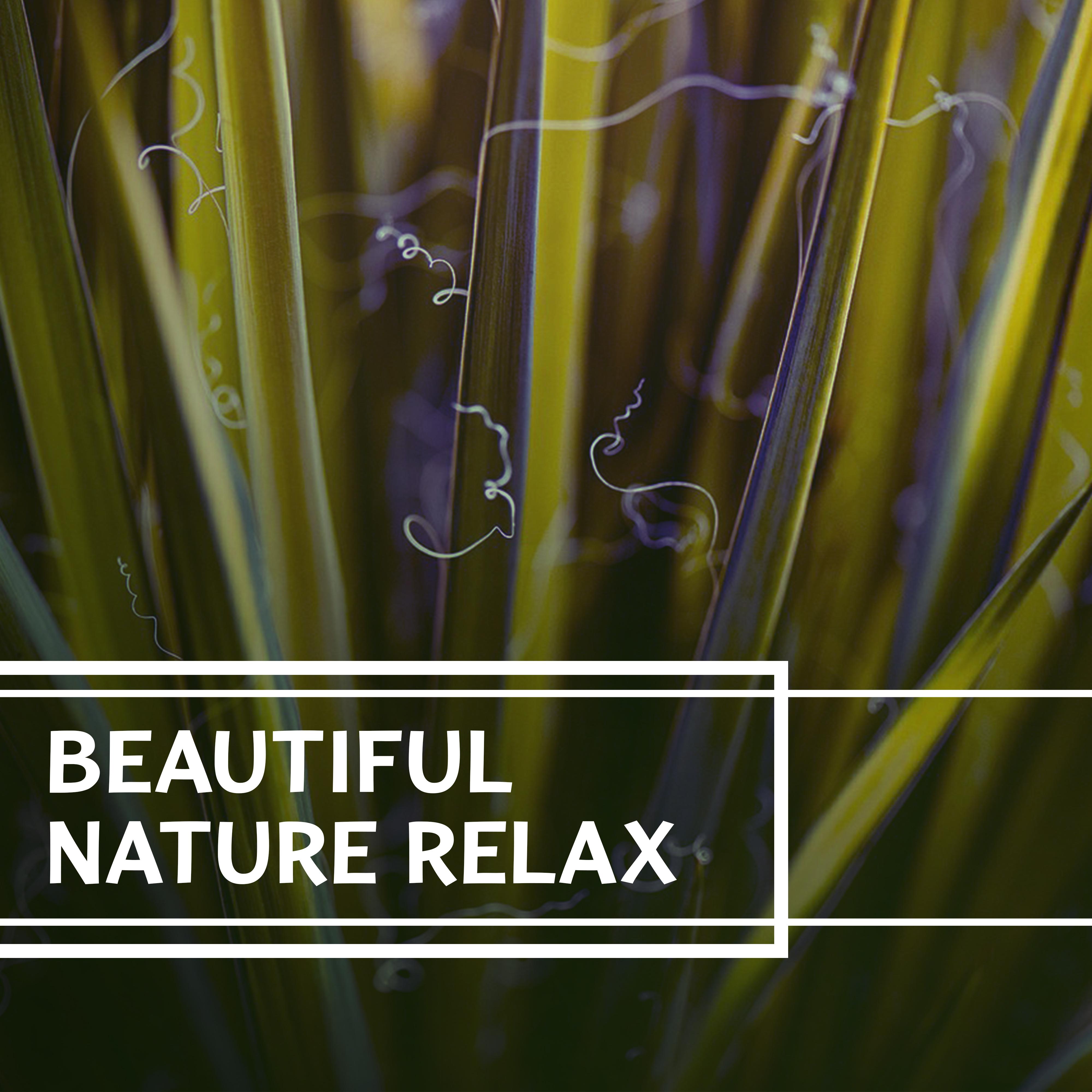 Beautiful Nature Relax – Sounds of Nature Relaxation, Outdoors Sounds, Rain, Forest Sounds, Meadow Songs, Ambient Relaxation