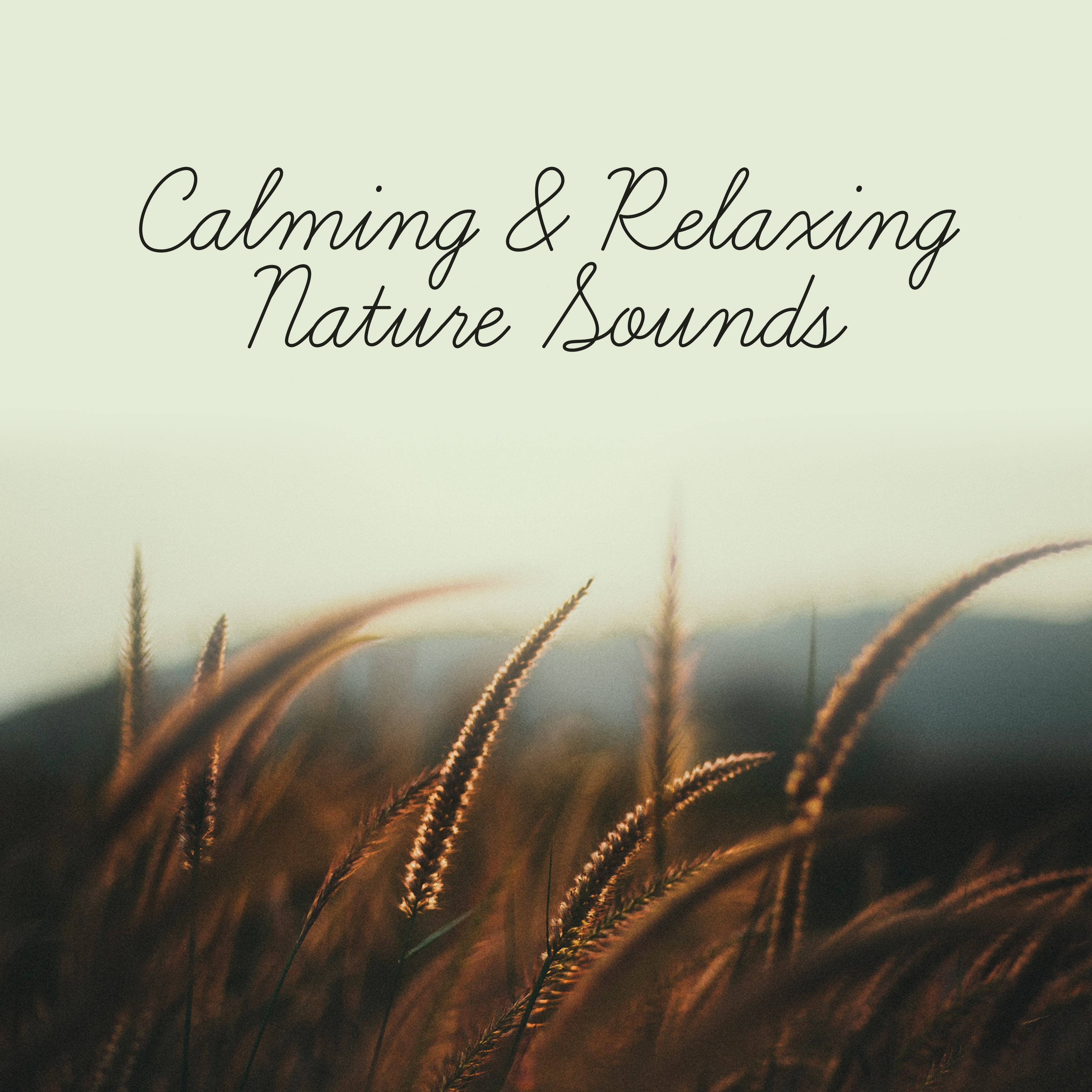 Calming & Relaxing Nature Sounds – Soft Music to Relax, Calm Down with New Age, Rest Yourself
