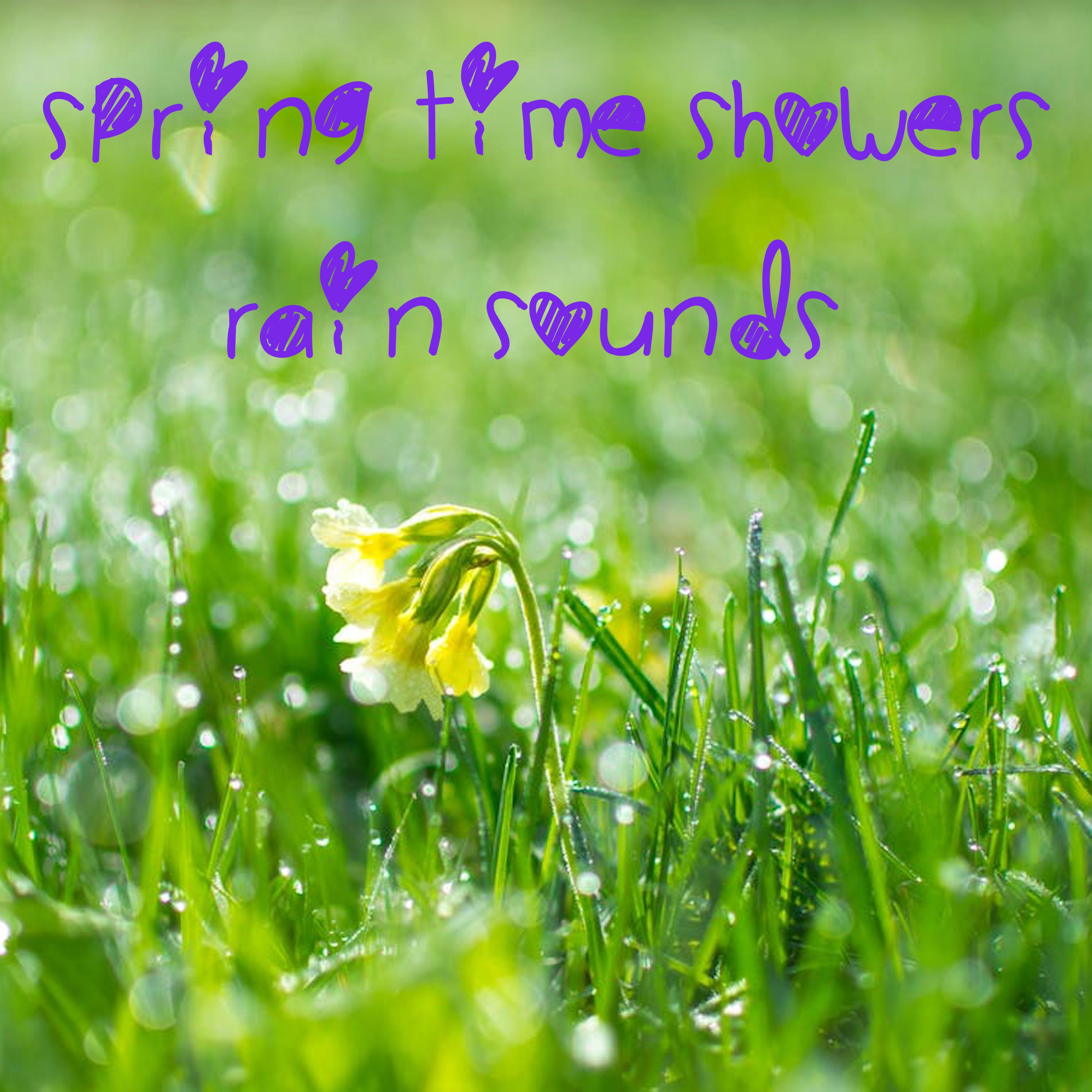 Springtime Showers and Soothing Rain, Meditative Rain Sounds