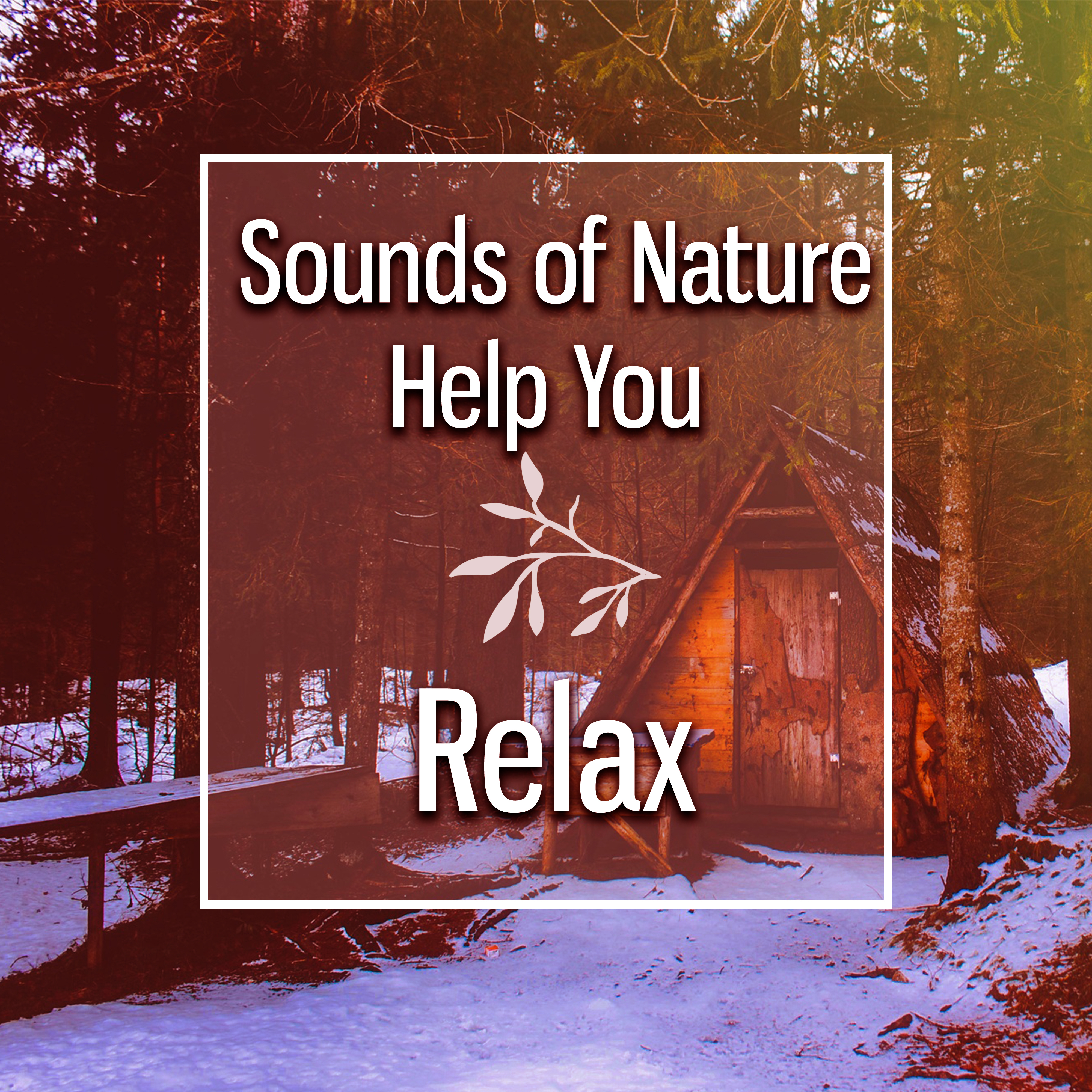 Sounds of Nature Help You Relax – Peaceful Music, Singing Birds, Healing Water, Pure Mind, Rest, Calmness