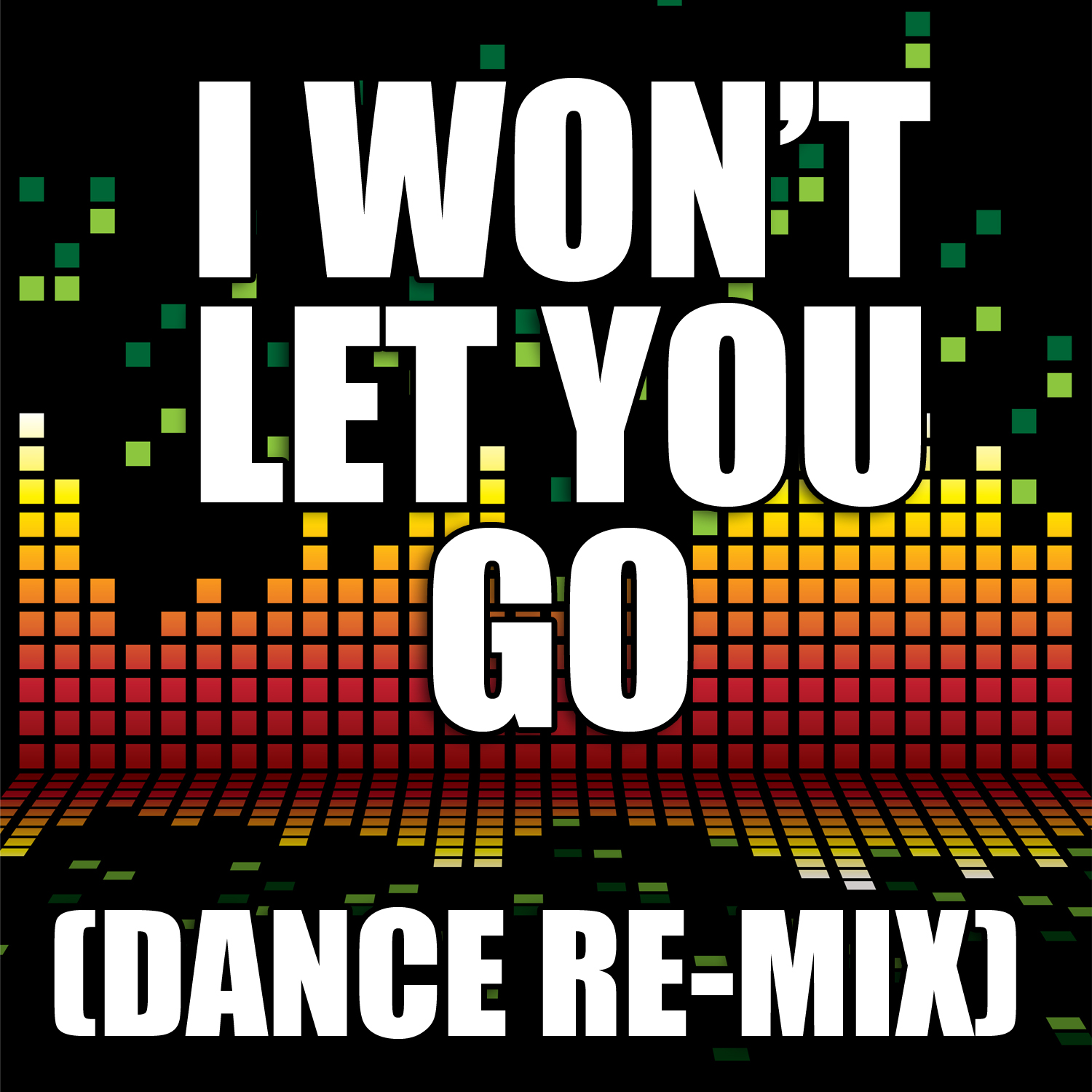 I Won't Let You Go (Dance Remix)