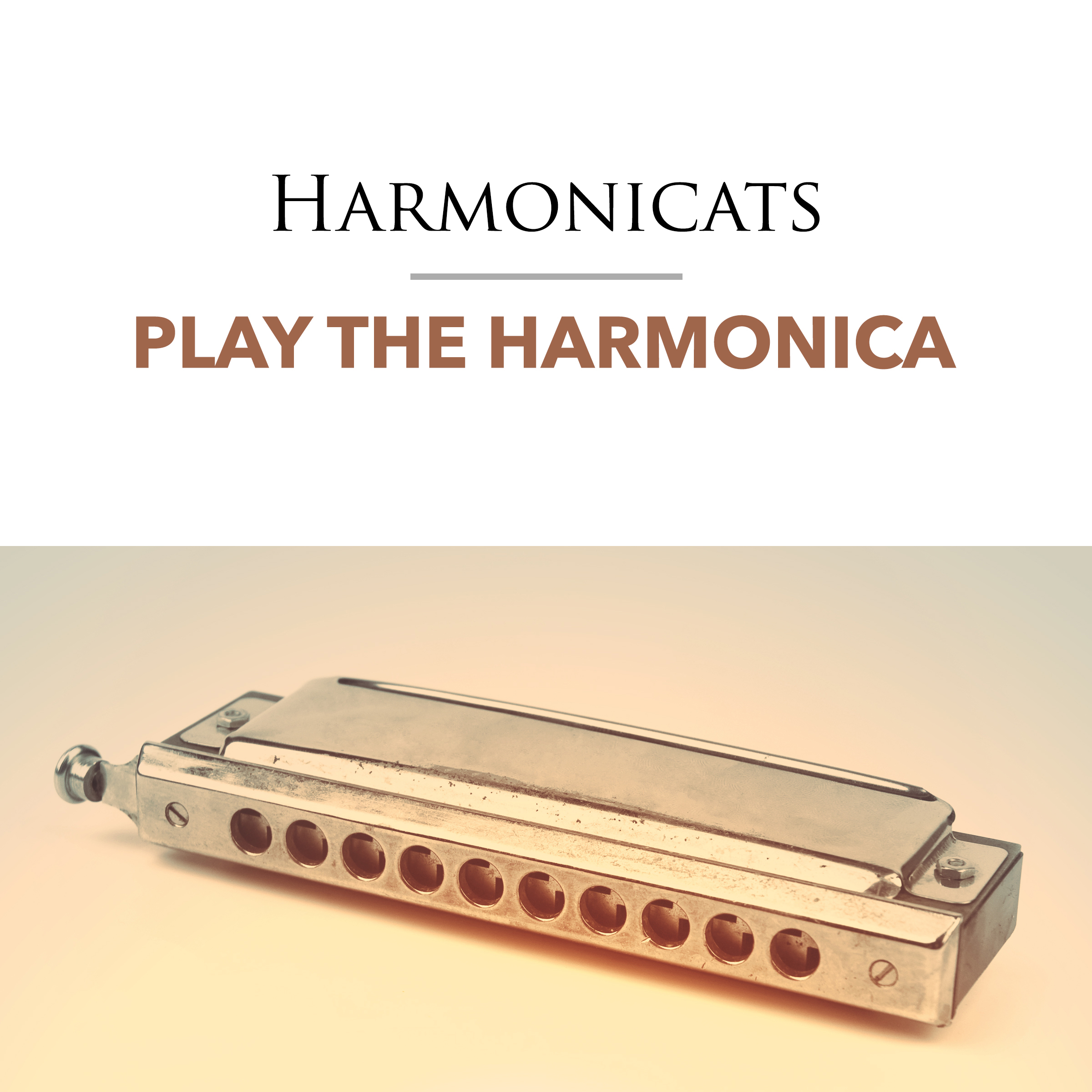 Play the Harmonica