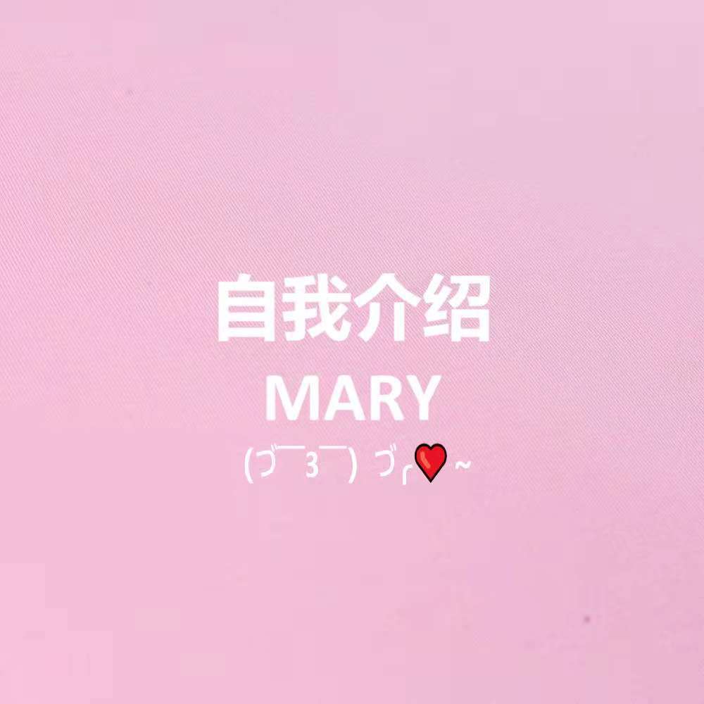 自我介绍[Mary |G11 remix]