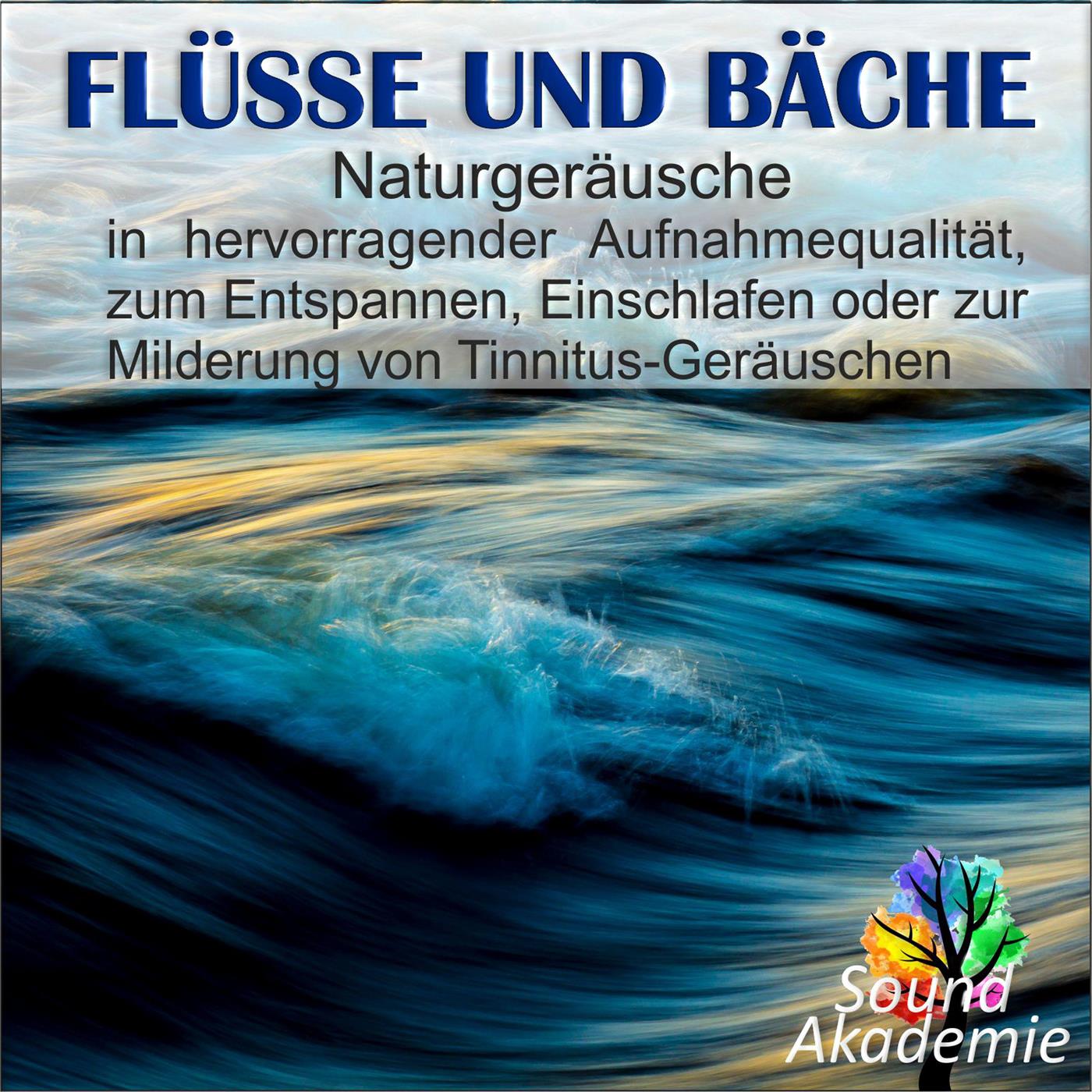 Fluss mit Stromschnelle