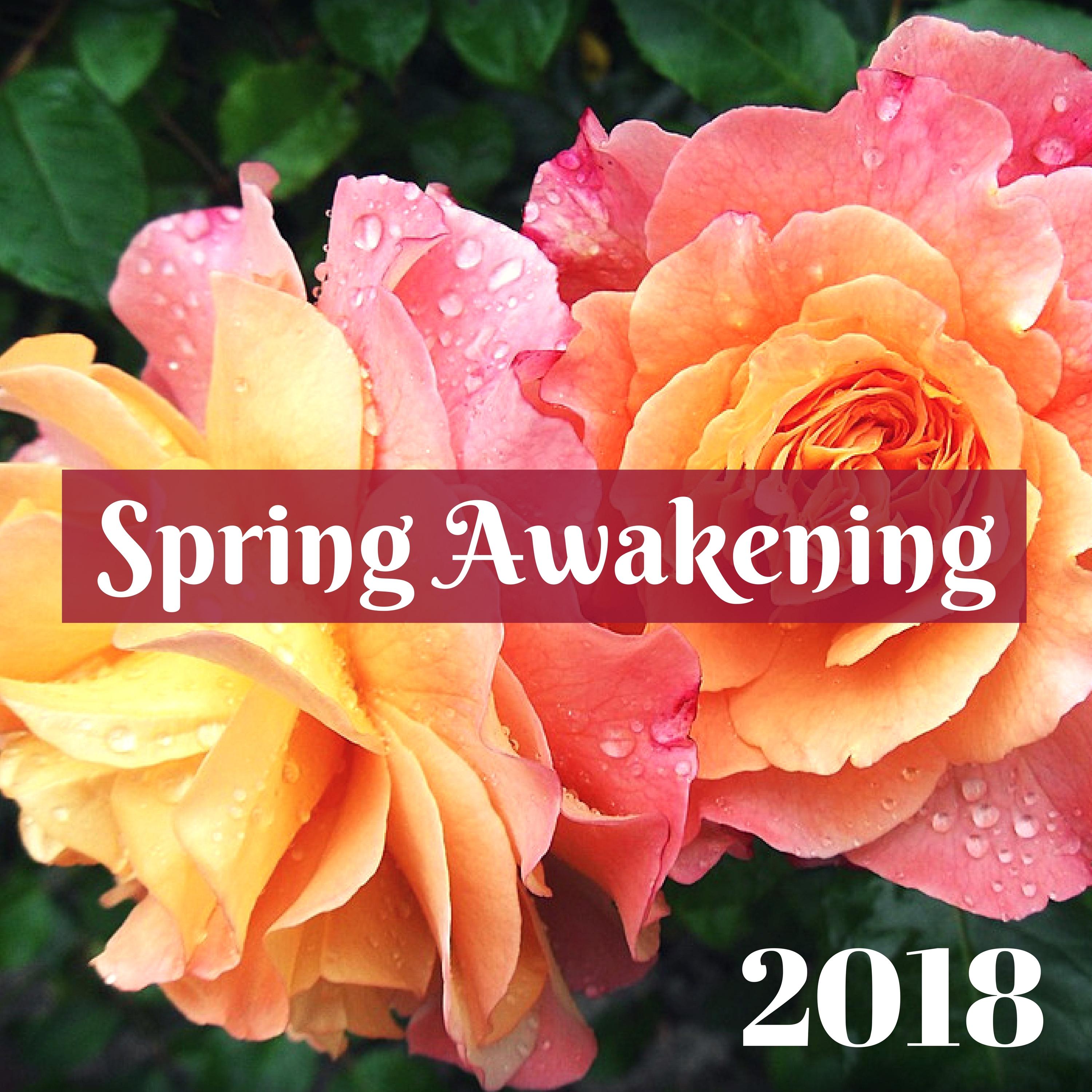 Spring Awakening 2018 - Springtime Happy Nature Music for Feeling Good & Positive Feelings