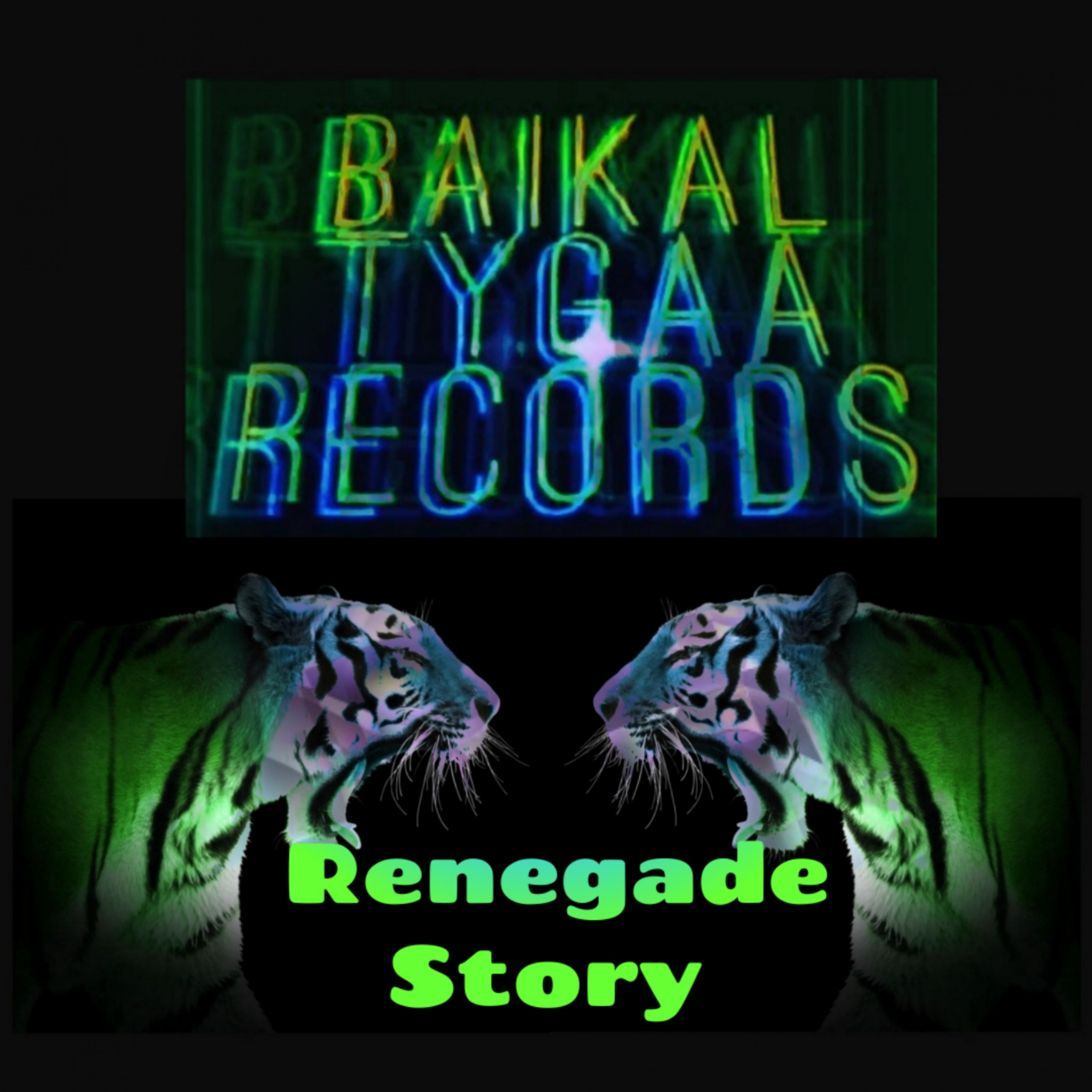 Renegade Story