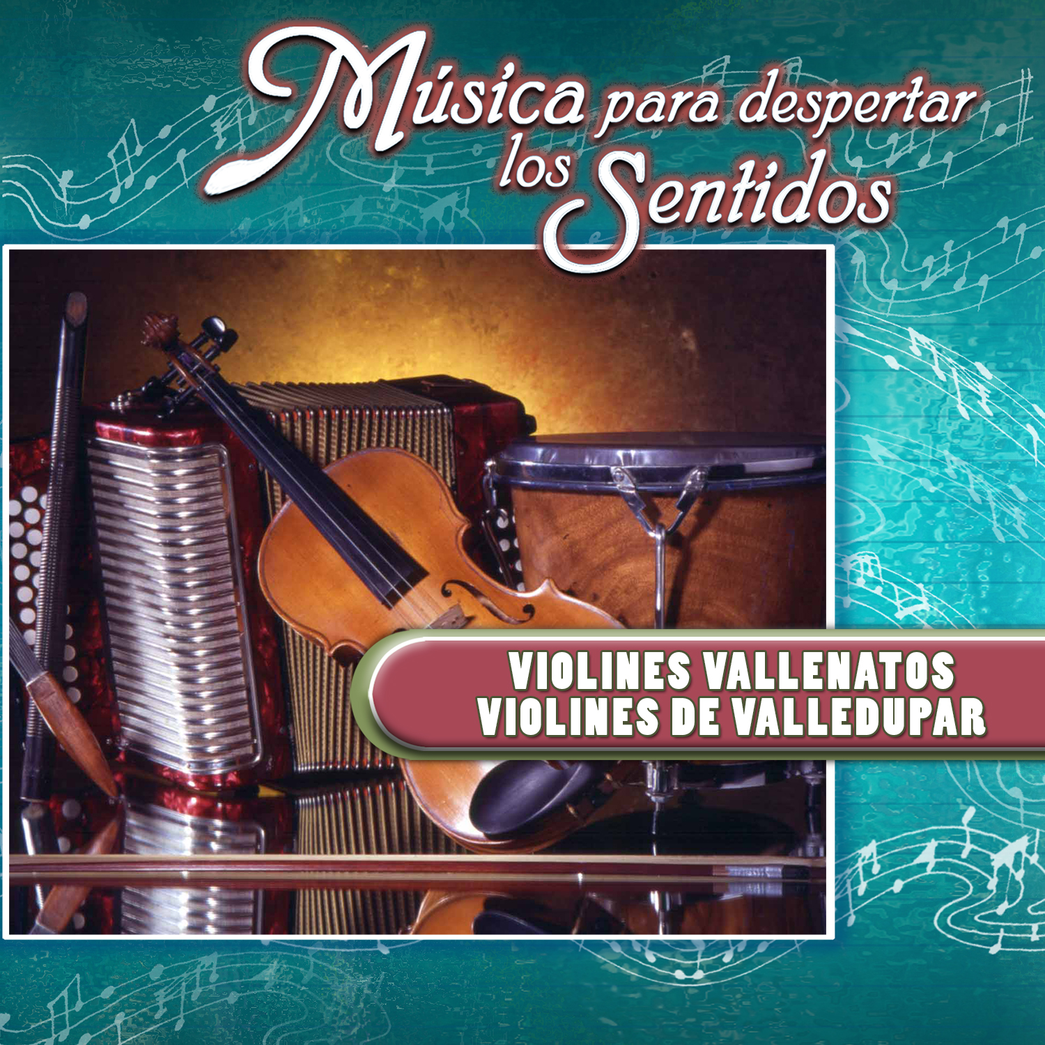 Música para Despertar los Sentidos: Violines Vallenatos