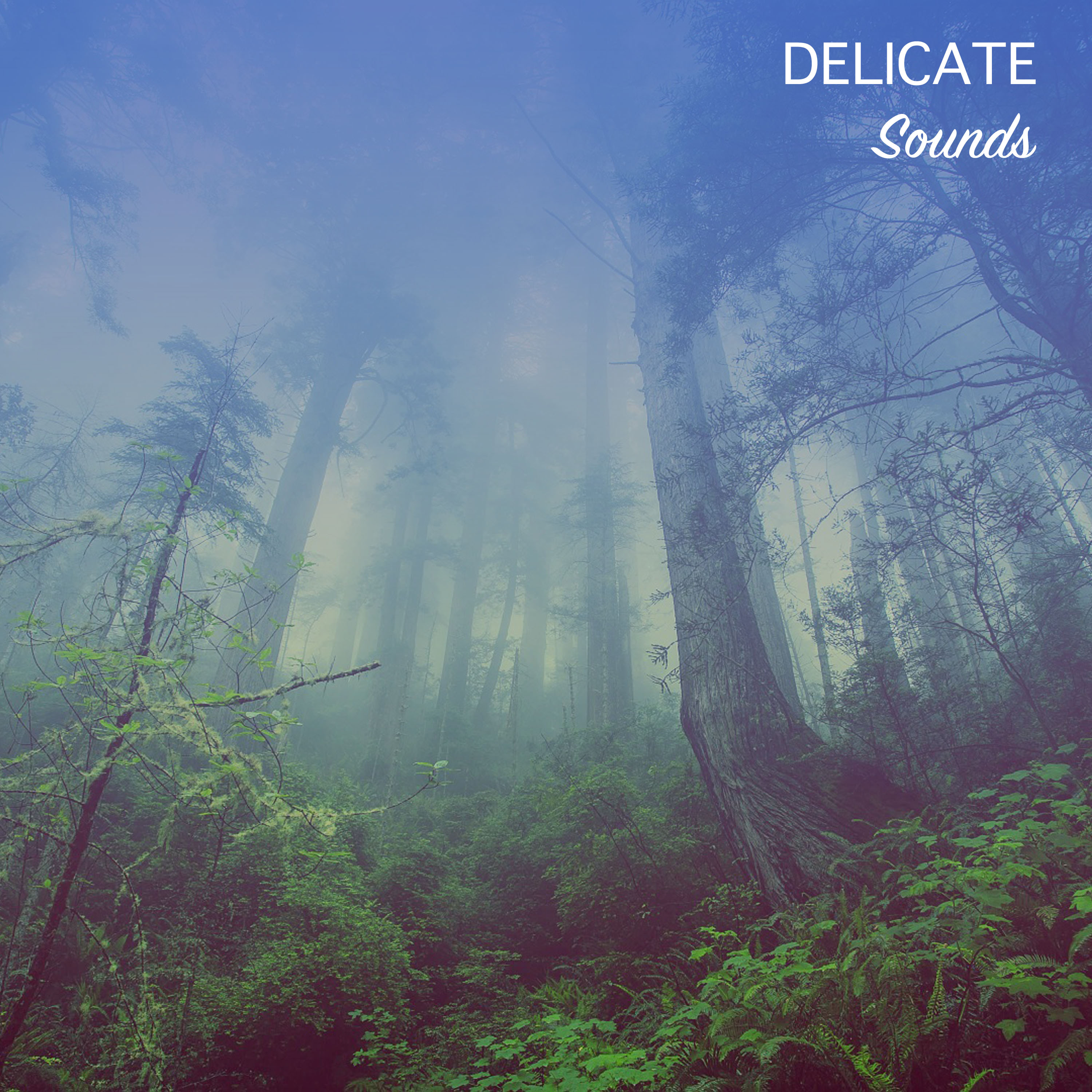 #19 Delicate Sounds for Yoga and Meditation