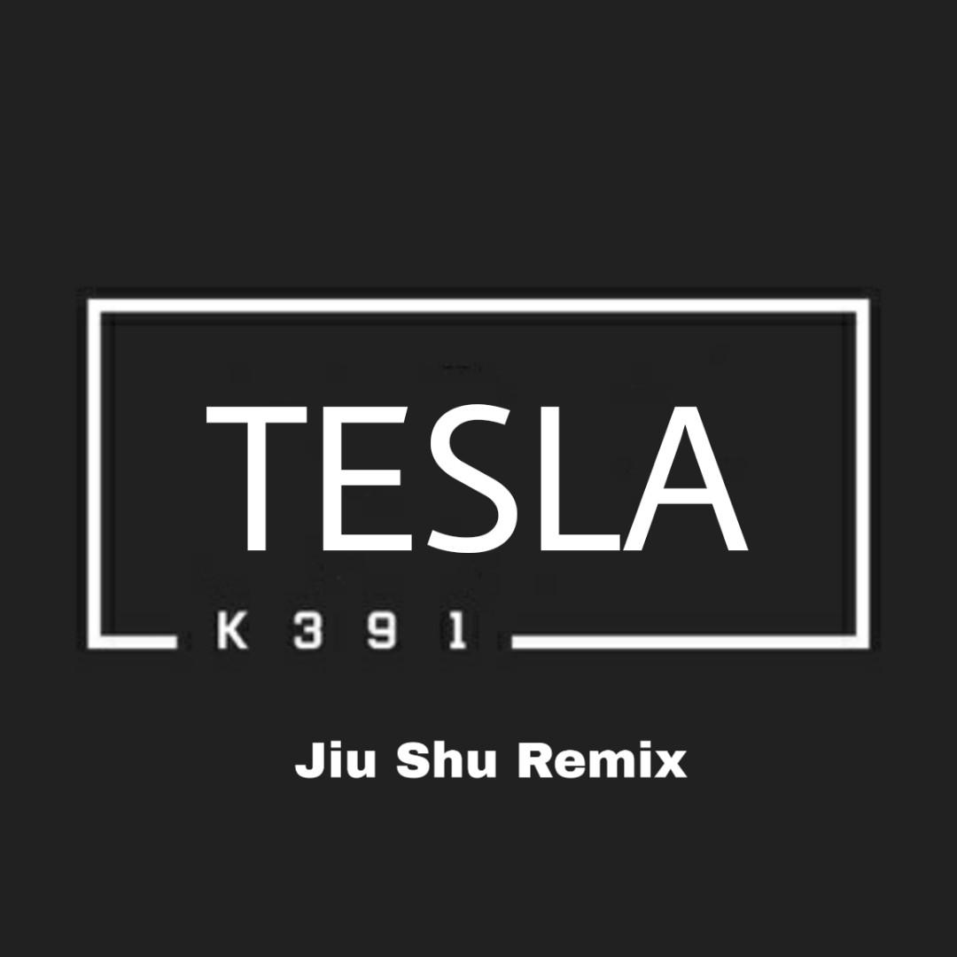 K-391-Tesla（九书 / K-391 remix）