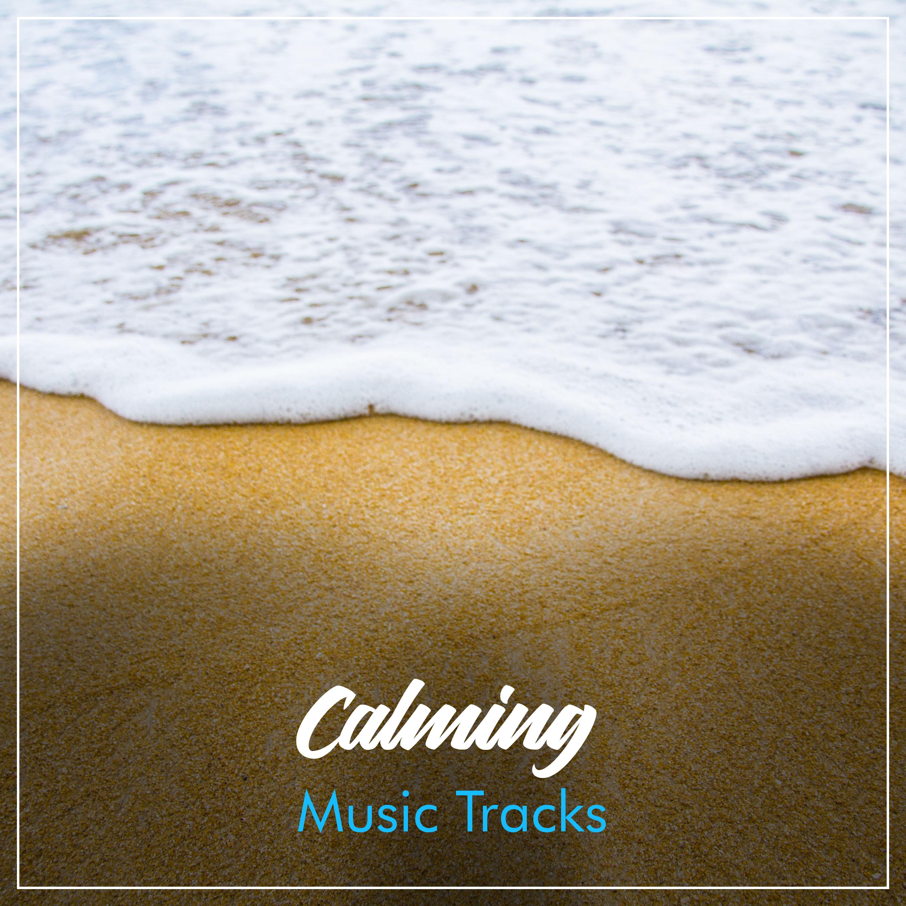 #19 Calming Music Tracks for Meditation